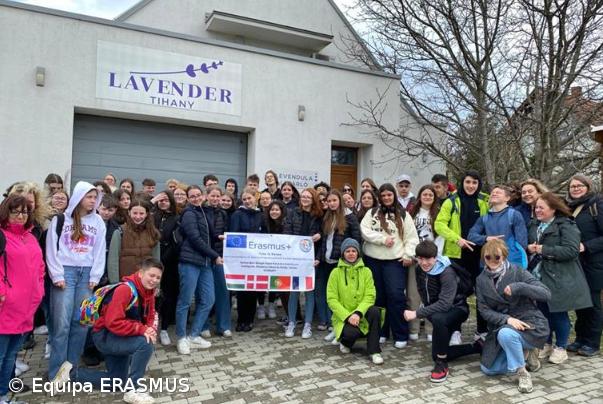 Testemunhos de alunos sobre a sua experiência ERASMUS (na Dinamarca e Hungria) – Imagem 25