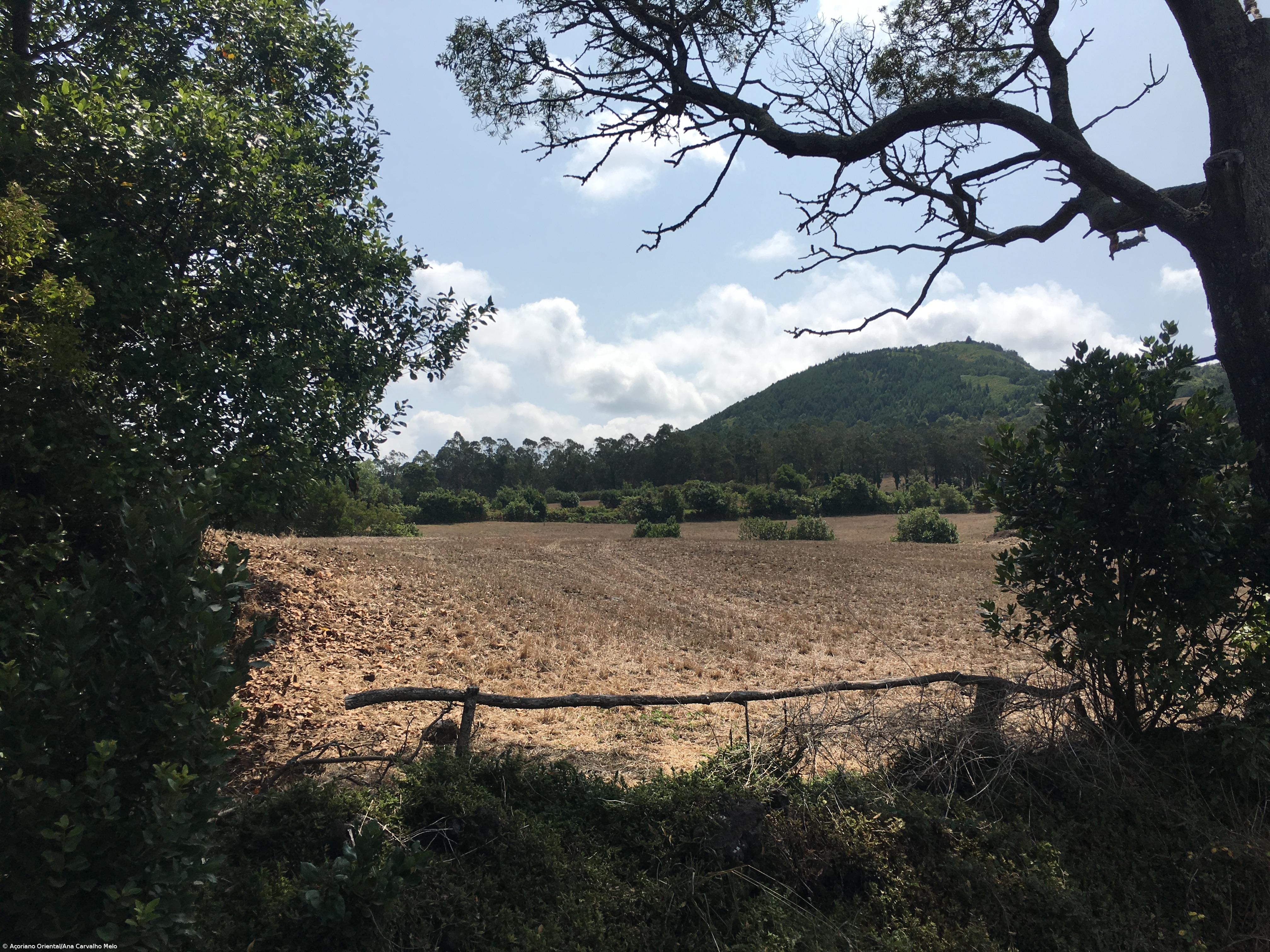 Dias consecutivos de seca nos Açores poderão chegar a um mês – Imagem 1