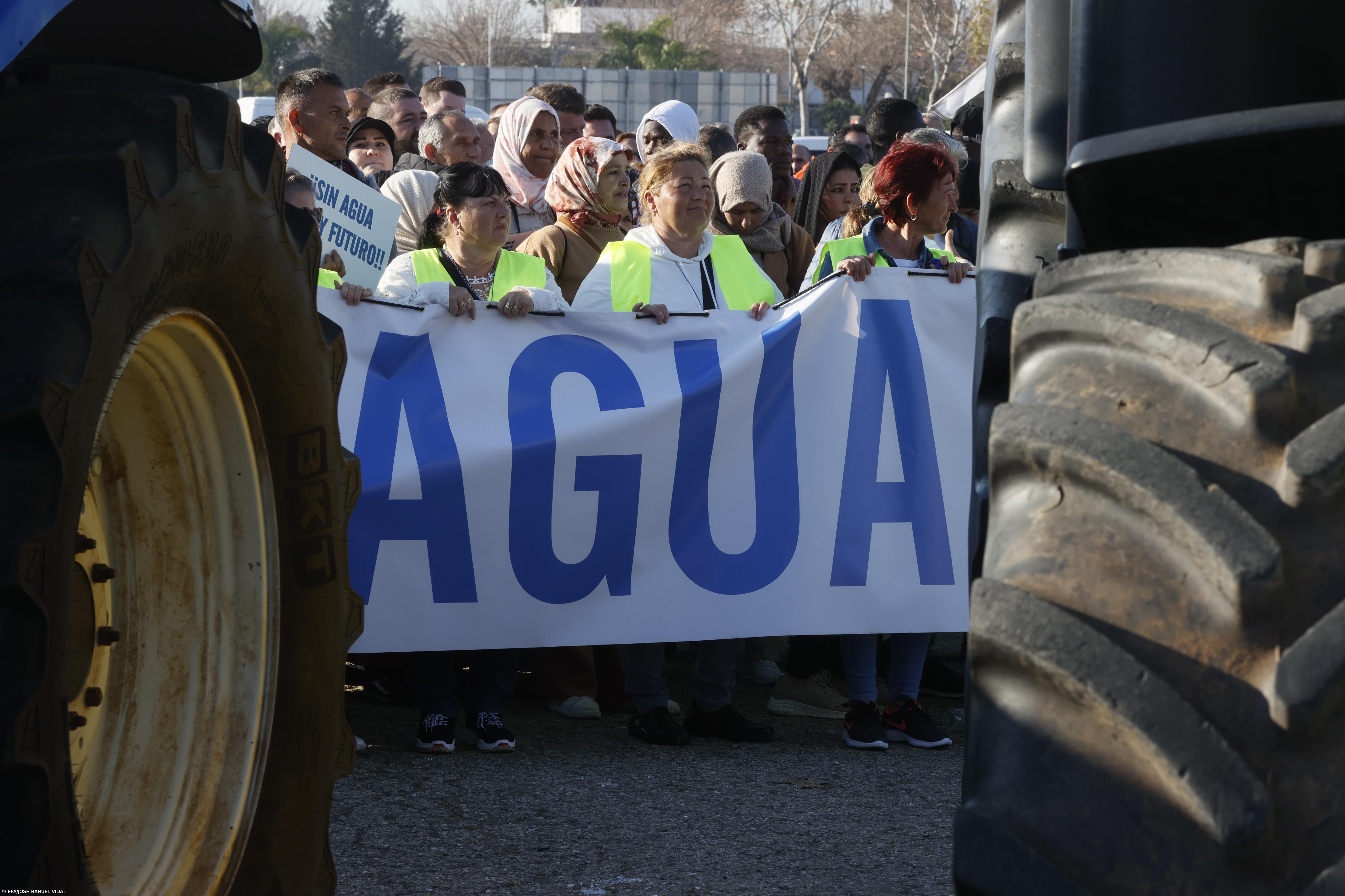Milhares de agricultores espanhóis manifestam-se em Sevilha por causa da seca – Imagem 1
