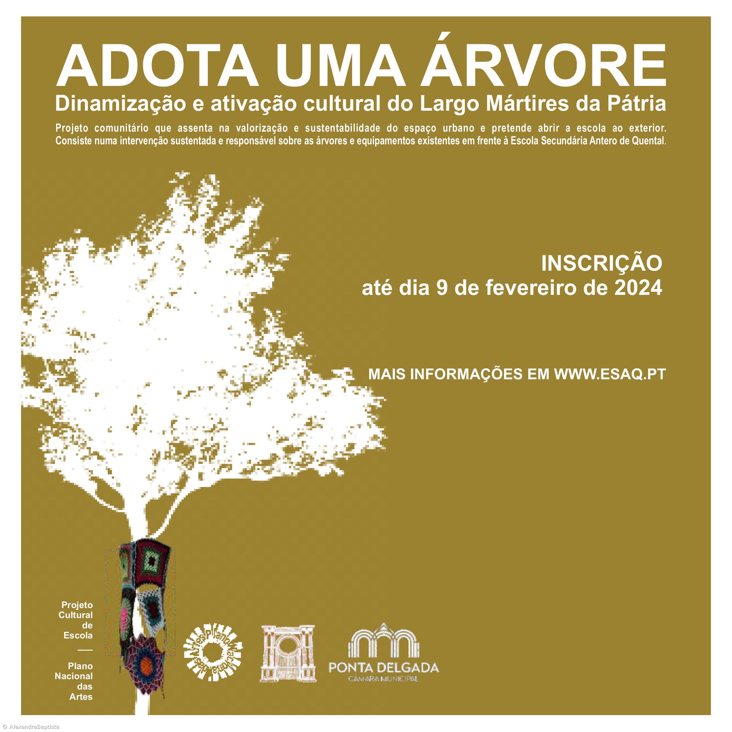 ADOTA UMA ÁRVORE – Imagem 3