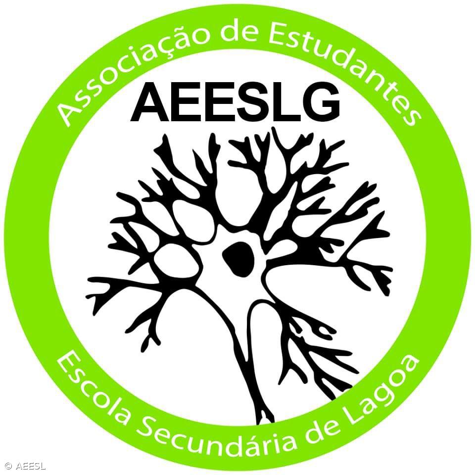 Eleição da Associação de Estudantes da ESLagoa – Imagem 1