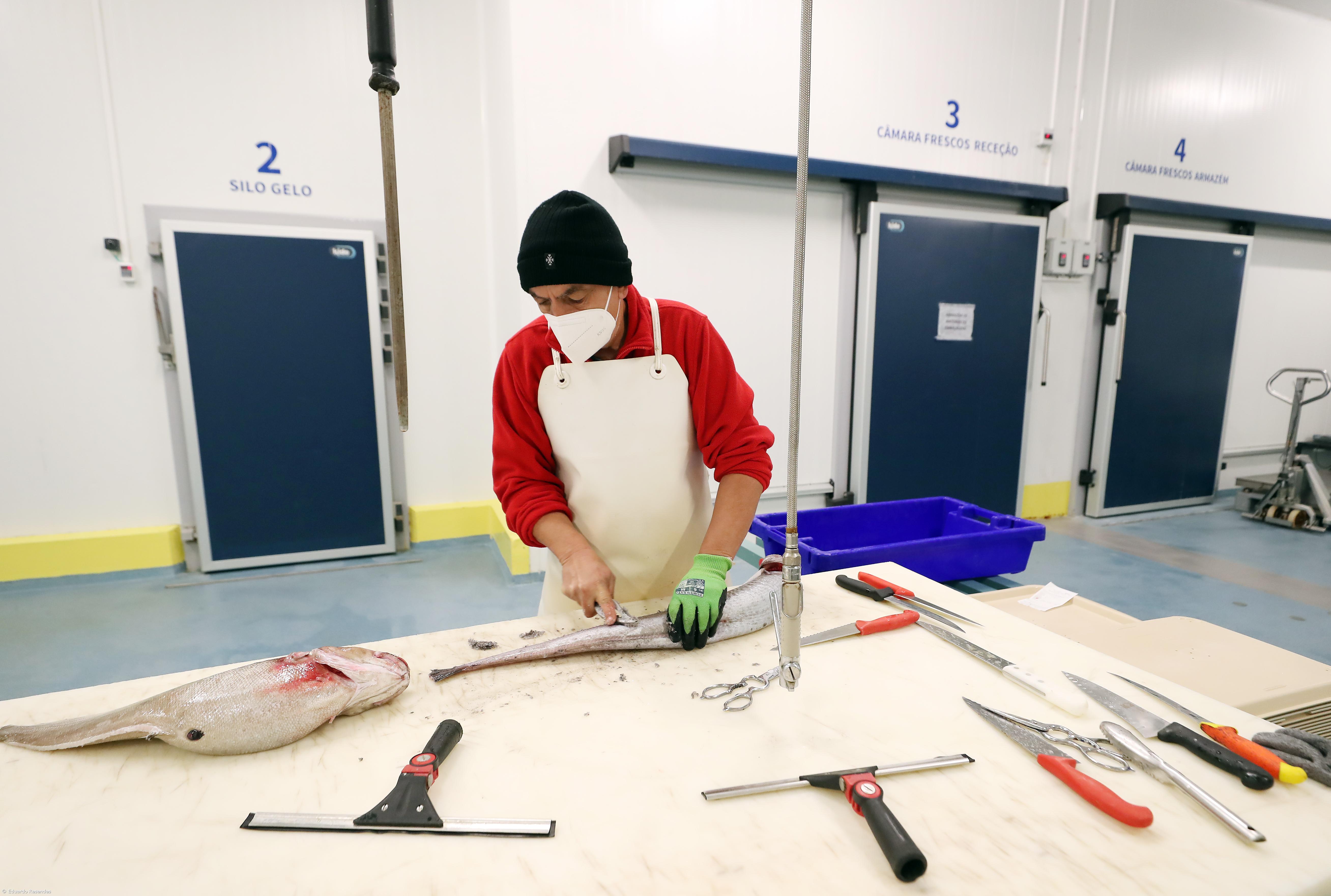 Importações aumentam 164,6% no último trimestre de 2023 – Imagem 1