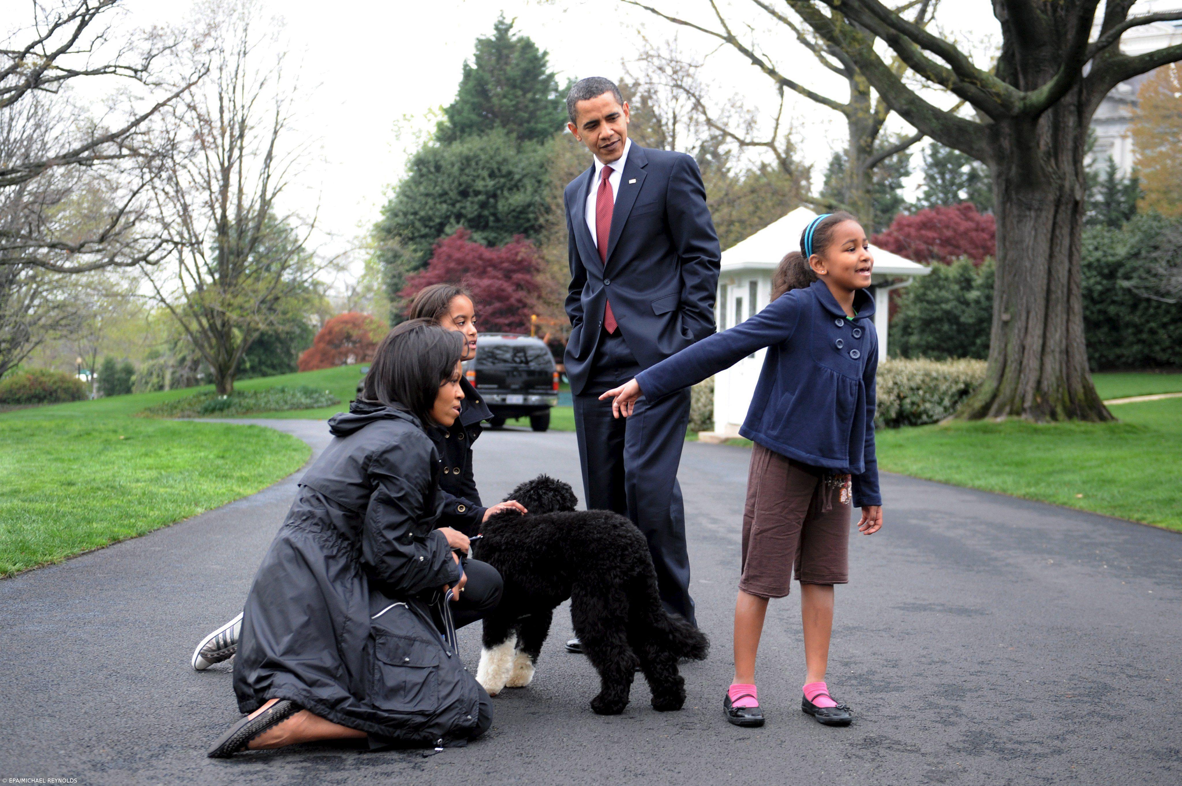 Cão de água português da família Obama apresentado à imprensa – Imagem 1