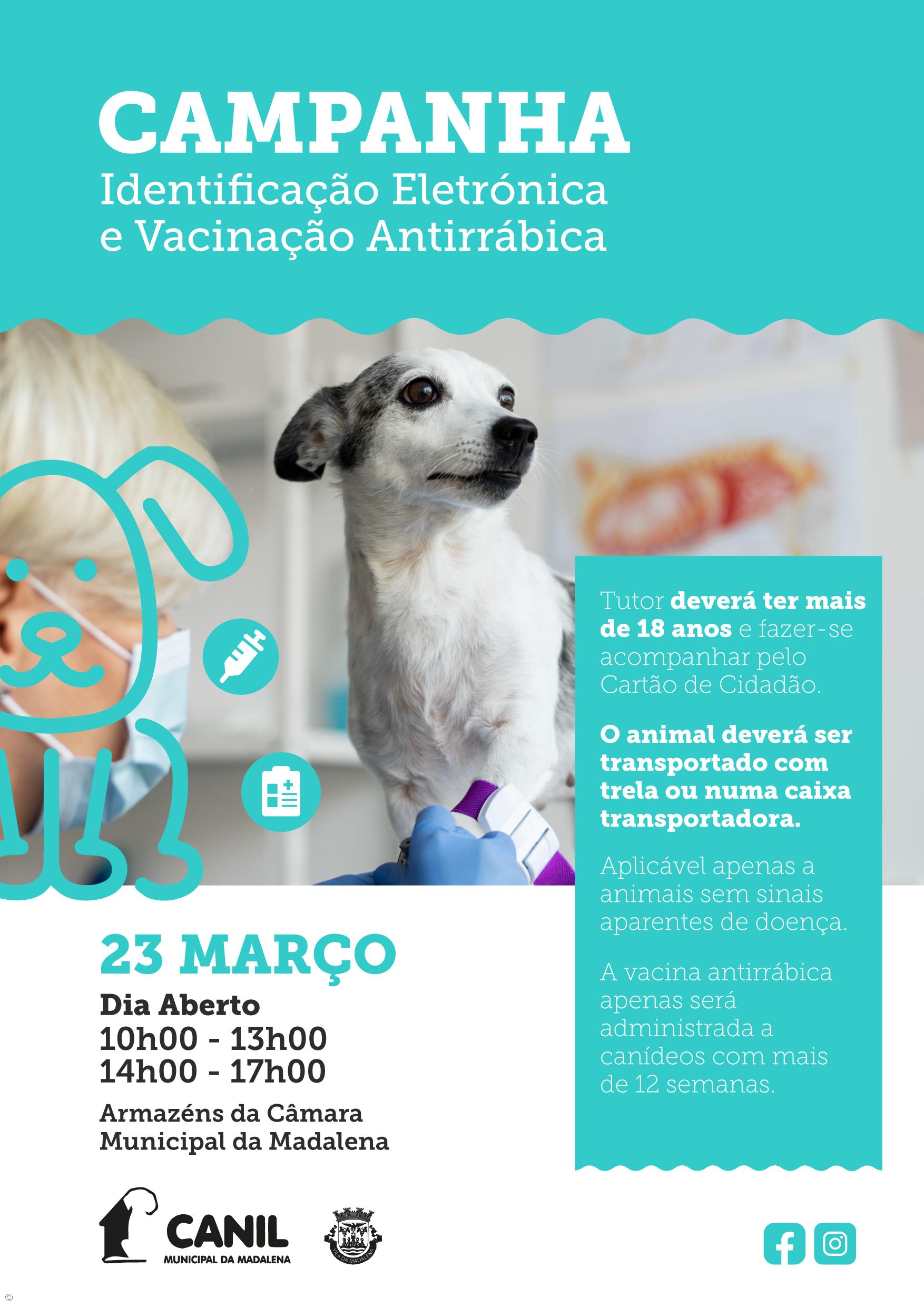 Município da Madalena promove campanha gratuita de vacinação antirrábica – Imagem 1