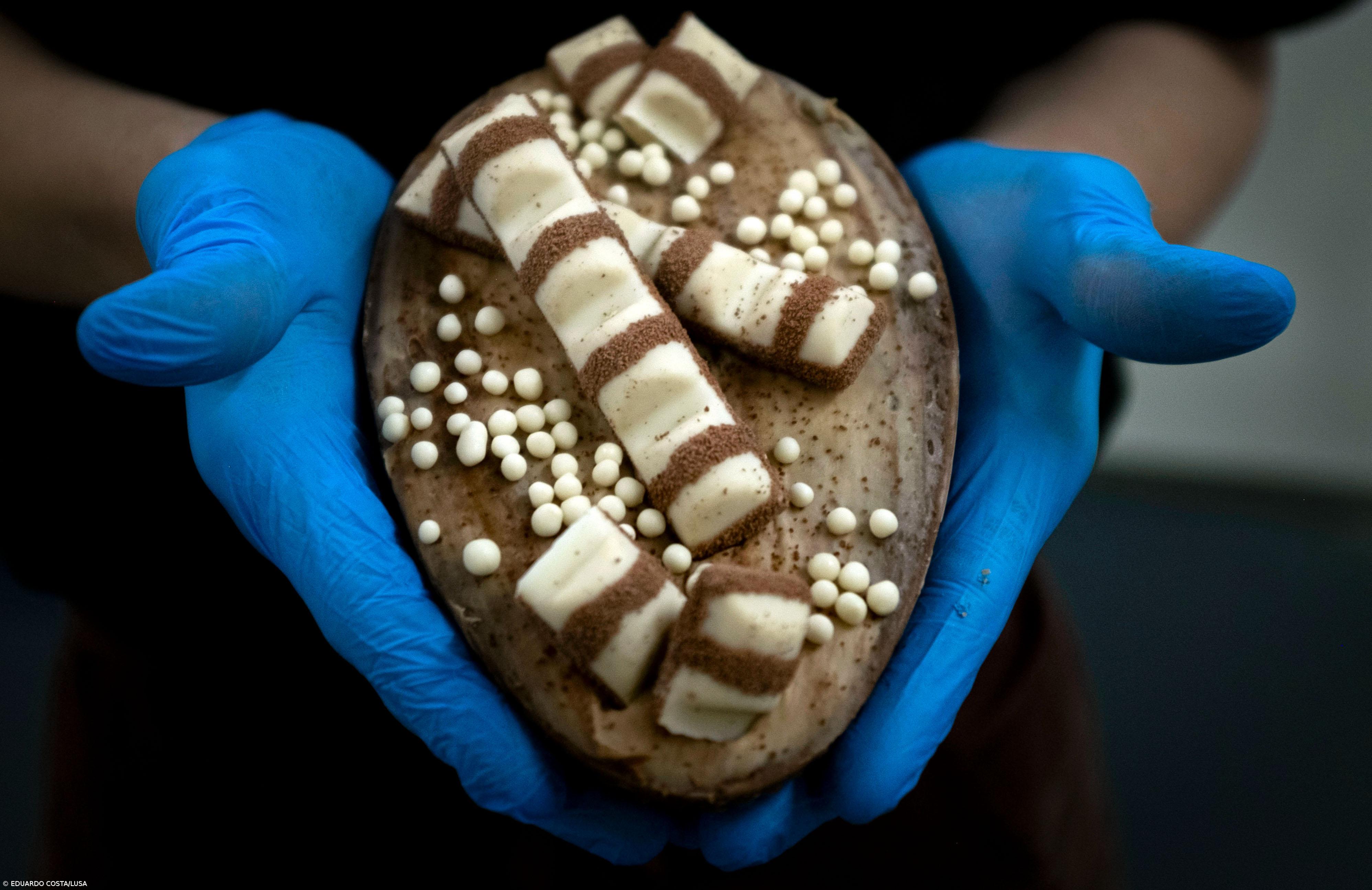 Empresário açoriano pretende investir 7ME numa nova fábrica de chocolate em Rabo de Peixe – Imagem 2