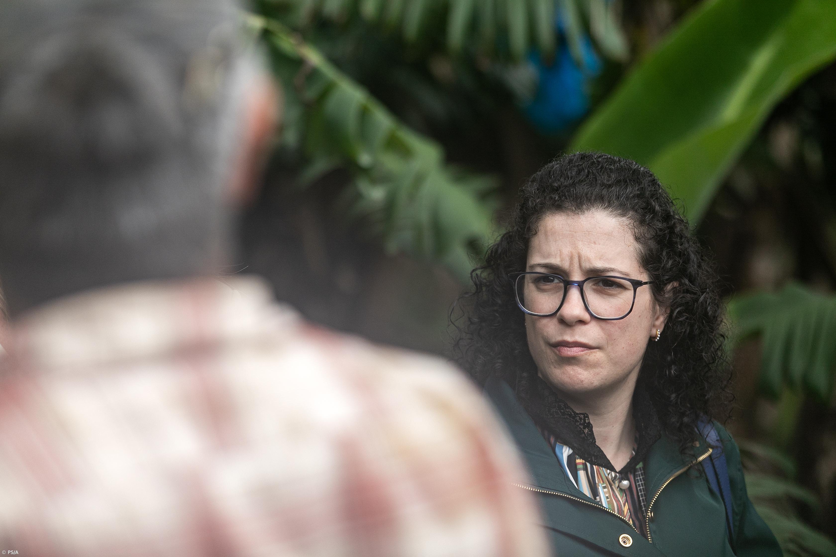 PS/Açores pede esclarecimentos sobre perda de apoios no setor vitivinícola regional – Imagem 1