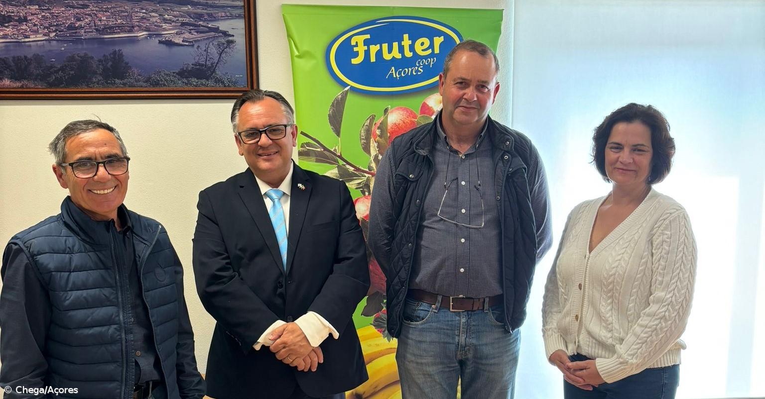 Chega/Açores quer classificar rolas e ratos como espécies cinegéticas – Imagem 1