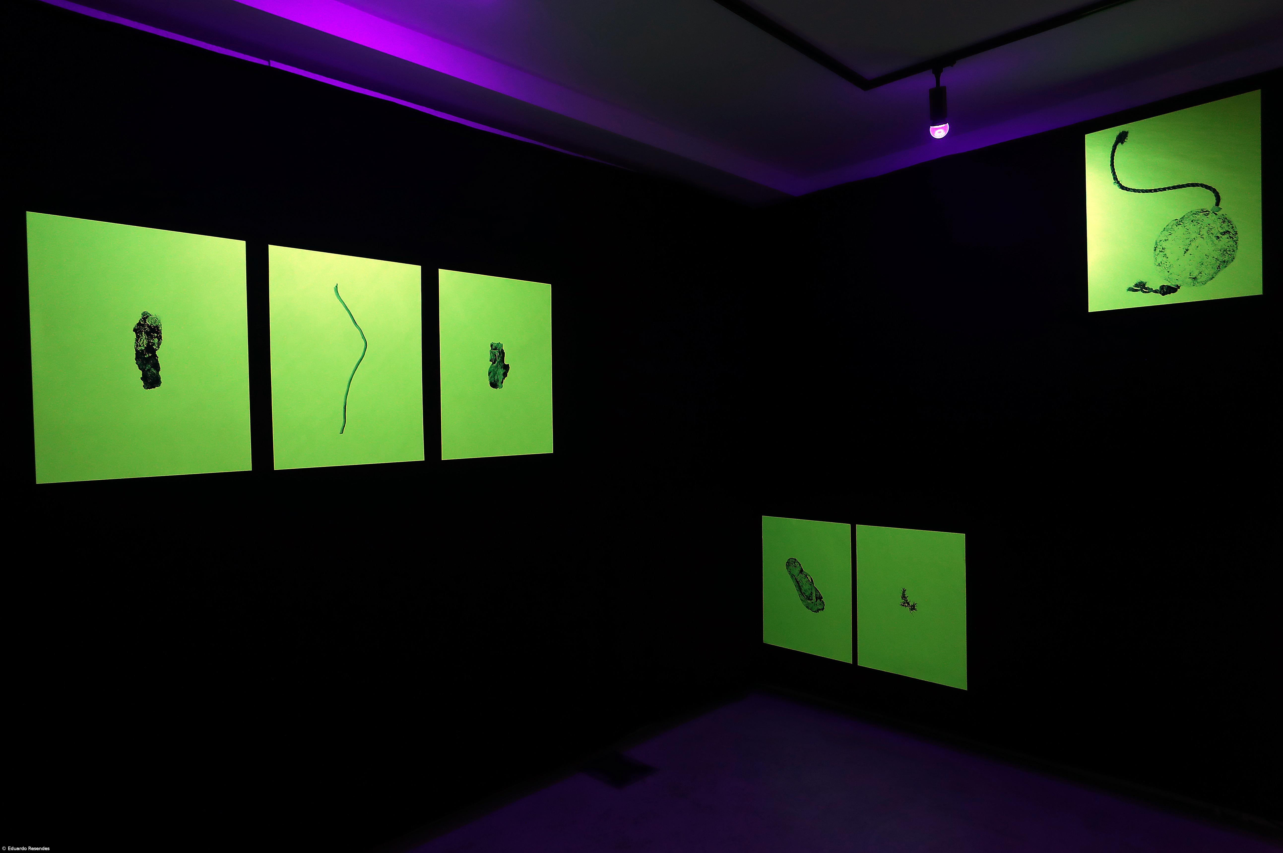 Artista mostra em exposição o seu ‘Arquivo do Acaso’ – Imagem 1