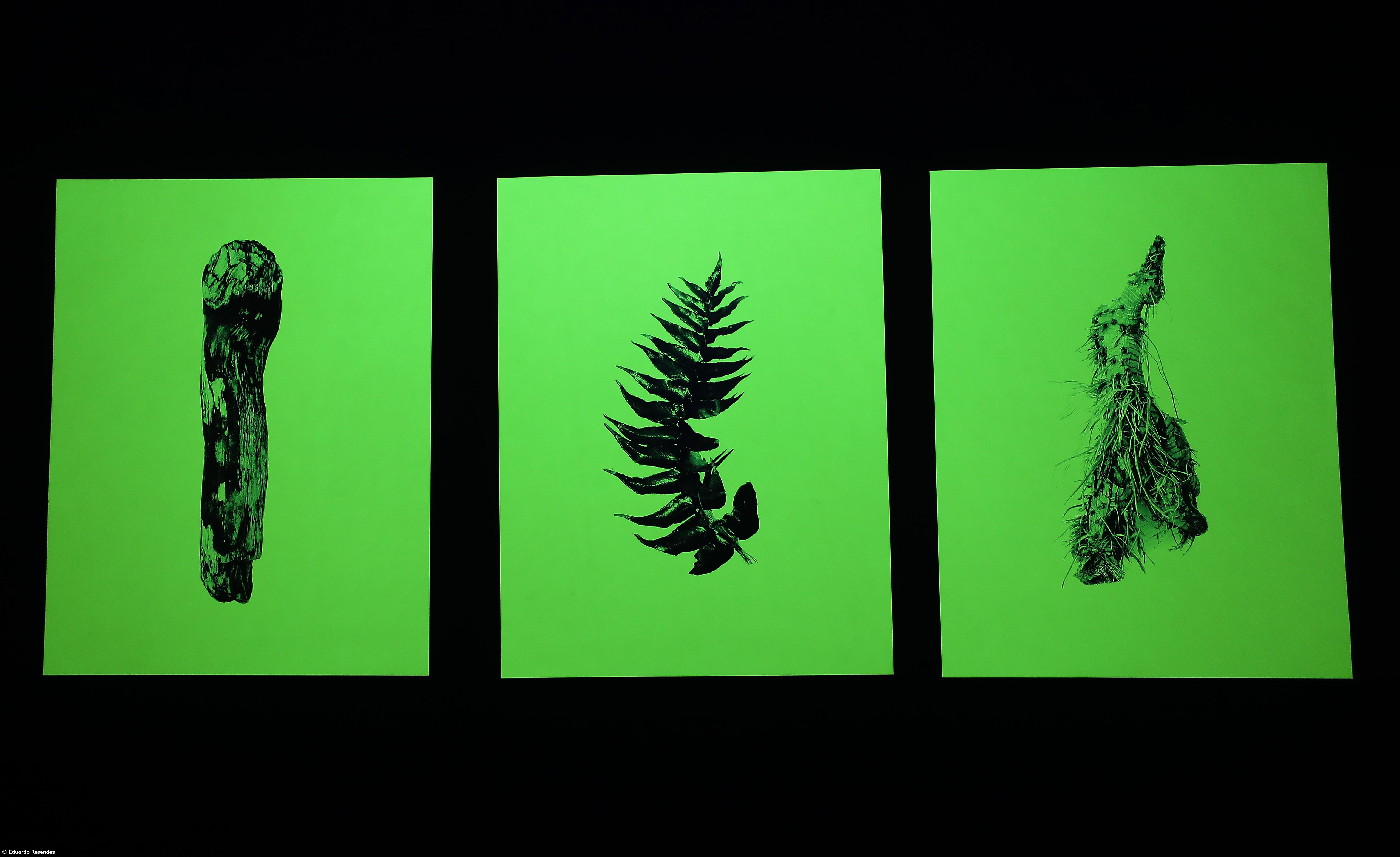 Artista mostra em exposição o seu ‘Arquivo do Acaso’ – Imagem 2