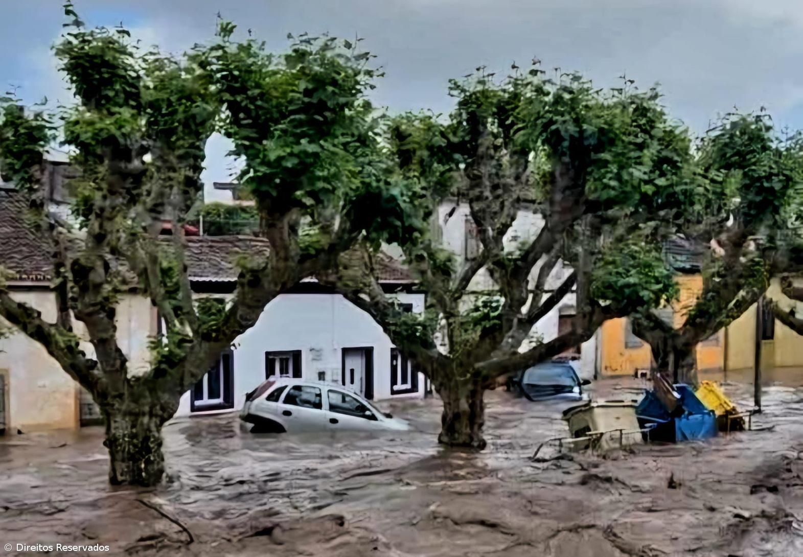 CAP pede levantamento de prejuízos nos Açores e pagamento de ajudas com brevidade – Imagem 1