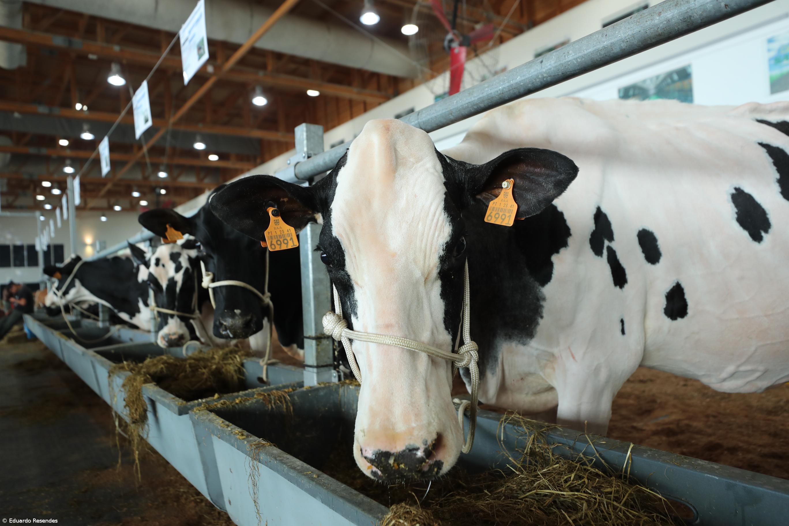 Lavoura pede pagamento rápido dos apoios com o orçamento aprovado  – Imagem 3