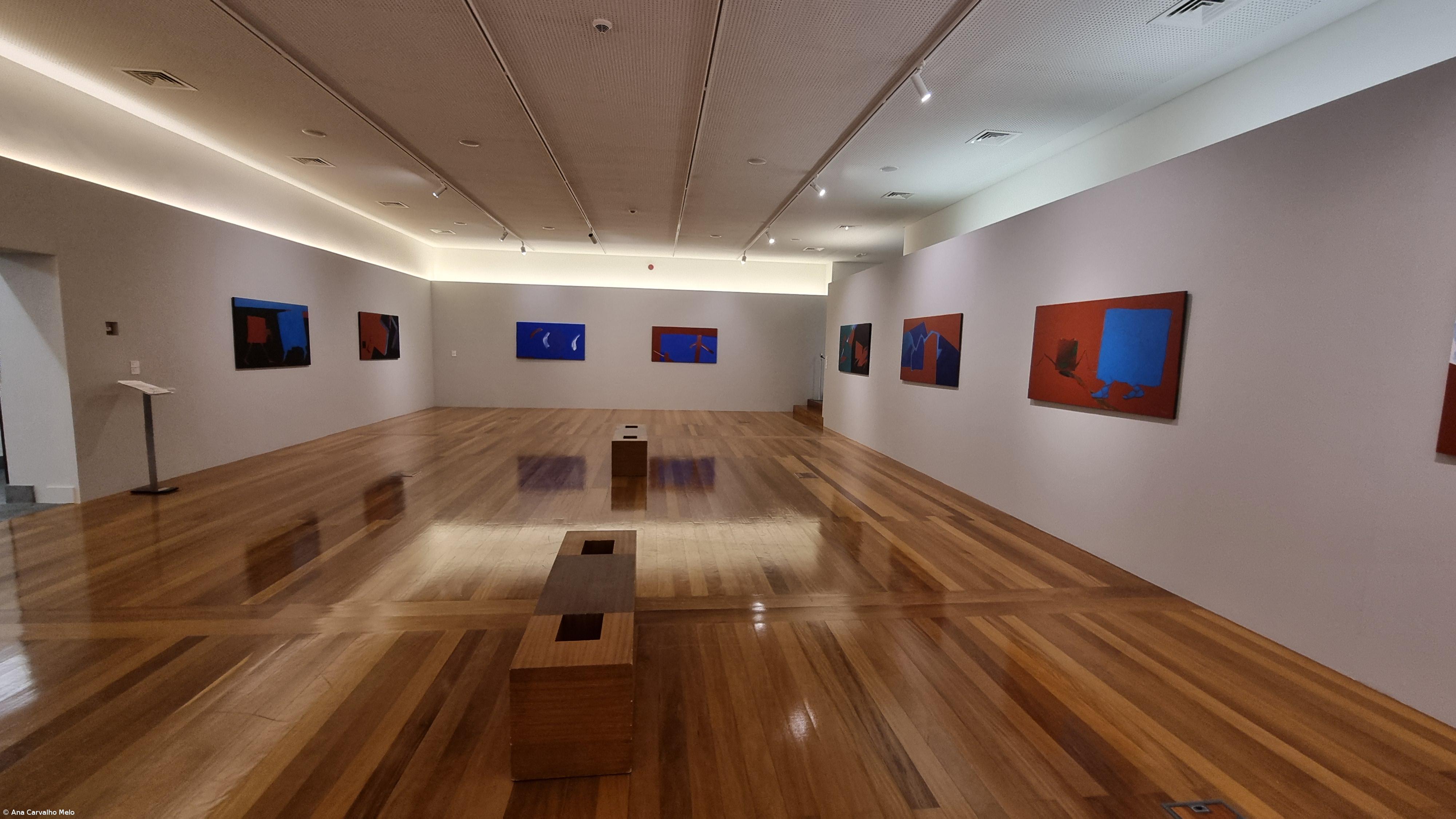 Nova exposição de Tomaz Borba Vieira celebra a arte e a vida – Imagem 1