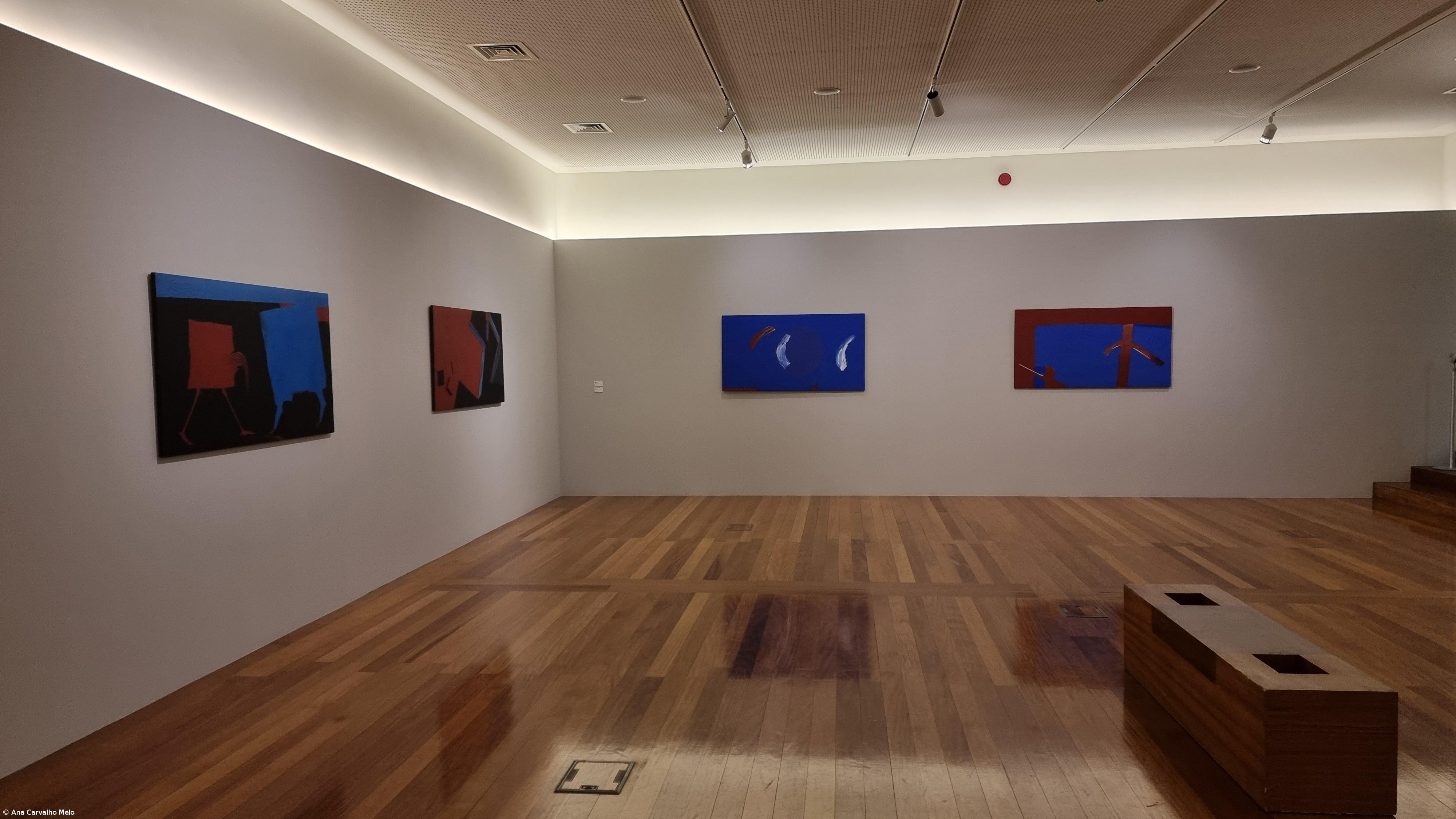 Nova exposição de Tomaz Borba Vieira celebra a arte e a vida – Imagem 3