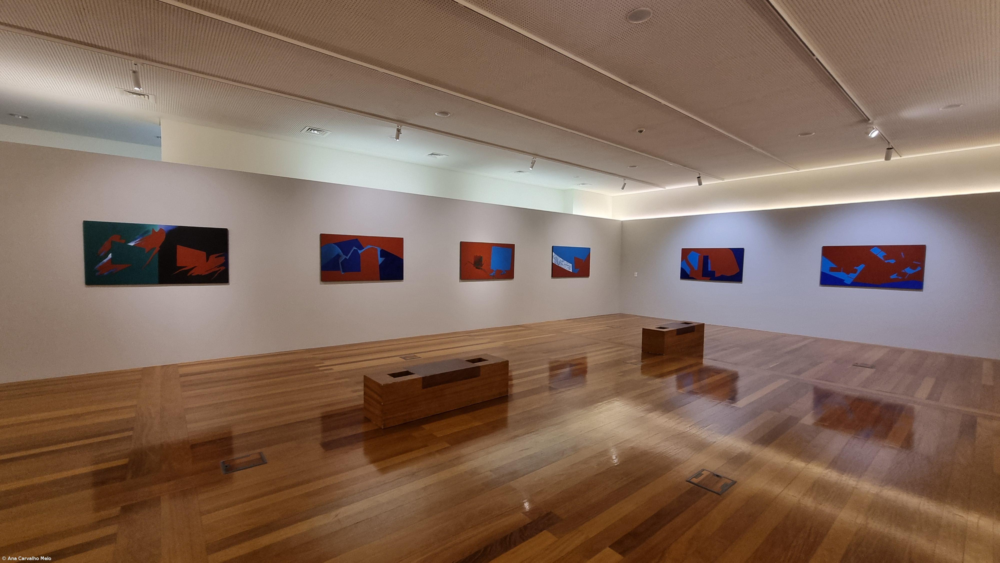 Nova exposição de Tomaz Borba Vieira celebra a arte e a vida – Imagem 4