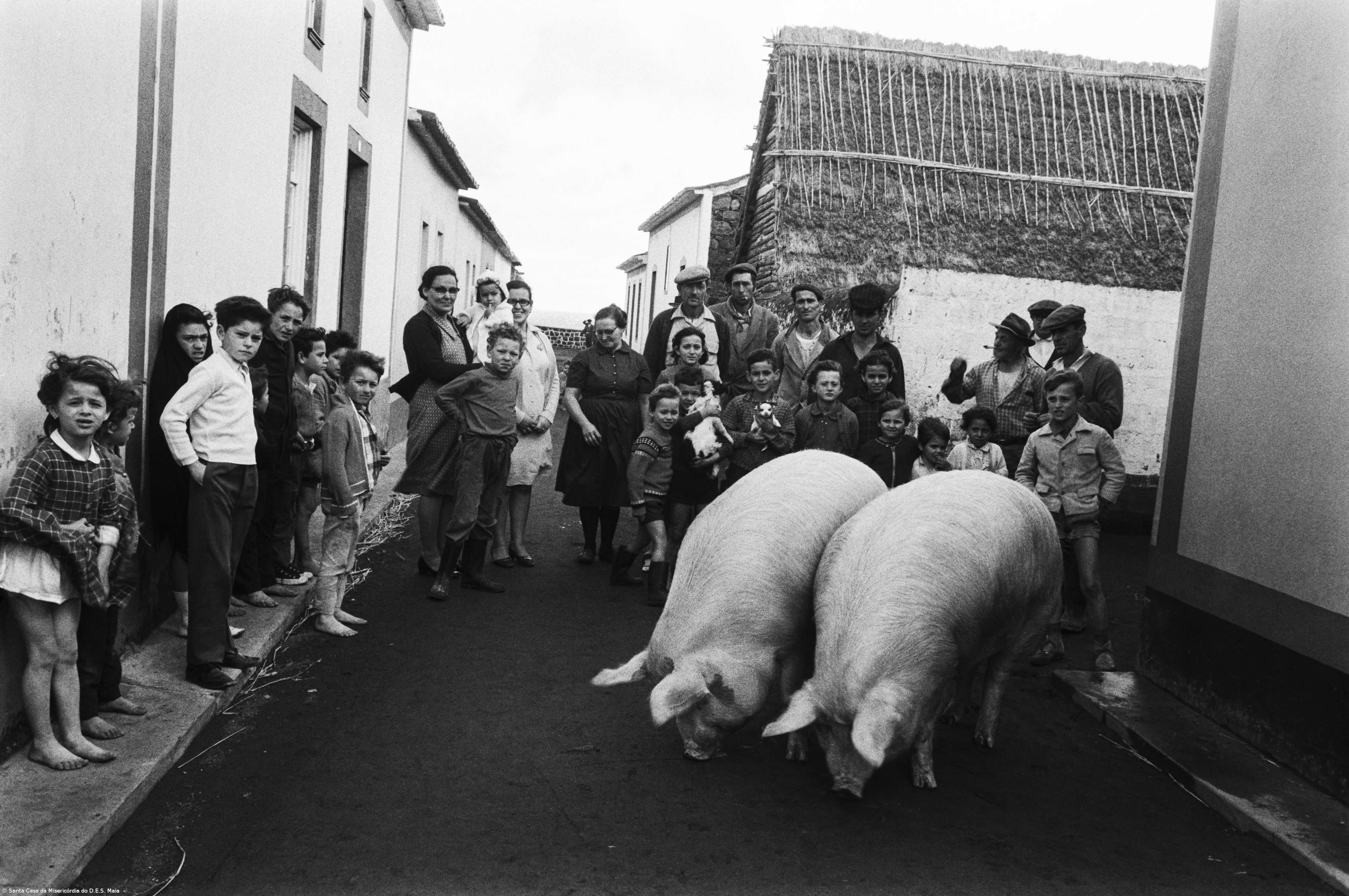 Vida e legado fotográfico de Laudalino da Ponte Pacheco – Imagem 4