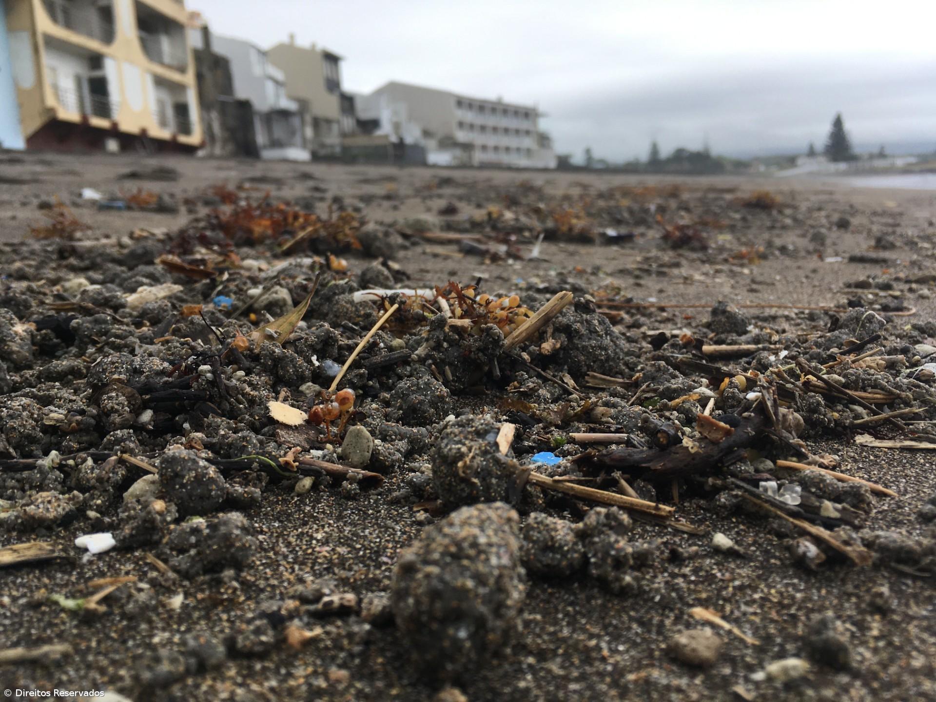 Quatro zonas balneares de Ponta Delgada estão interditas a banhos – Imagem 2