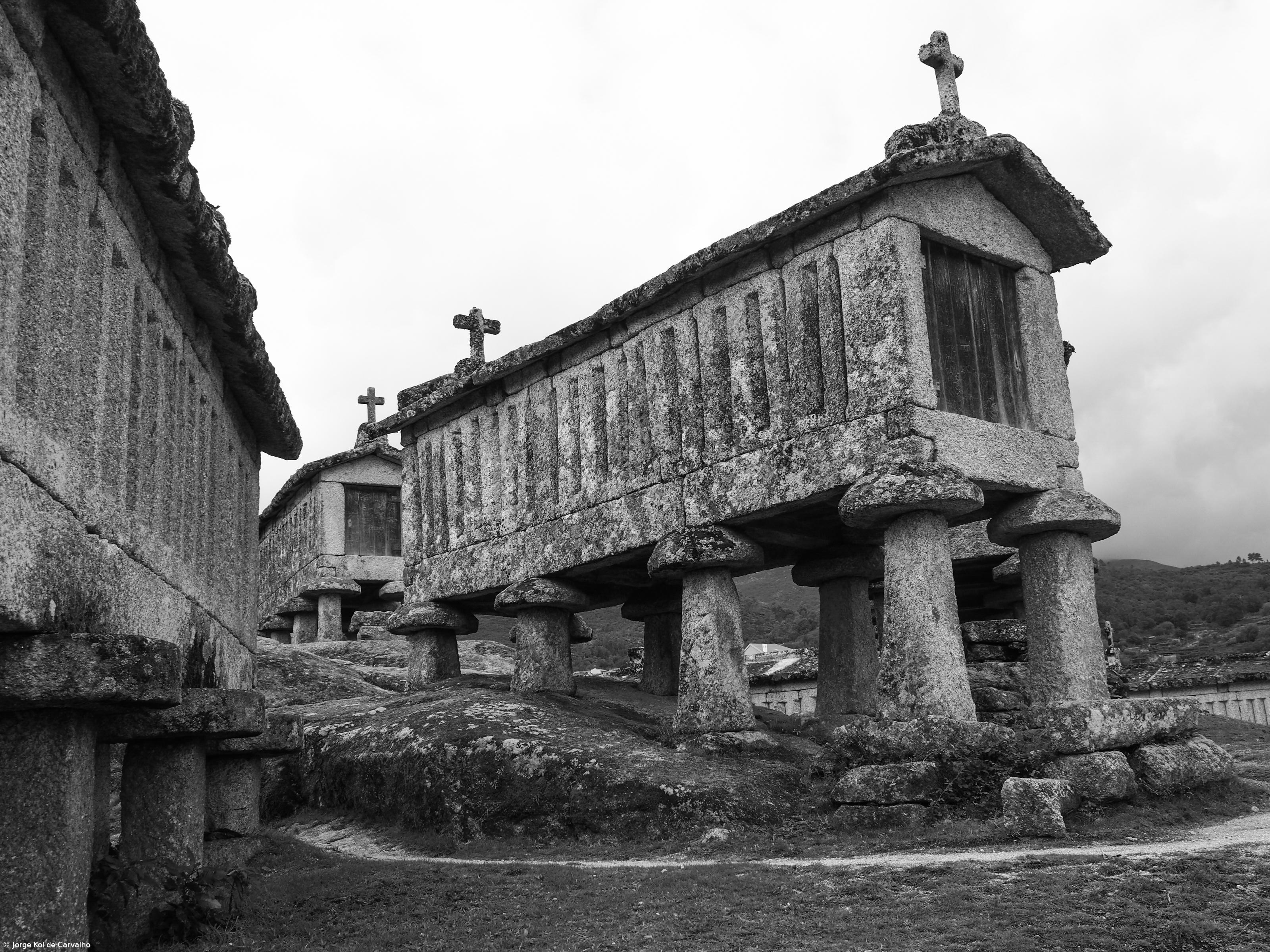 Exposição “Ando Por Aí” cruza viagens ao Japão e ao Minho  – Imagem 1