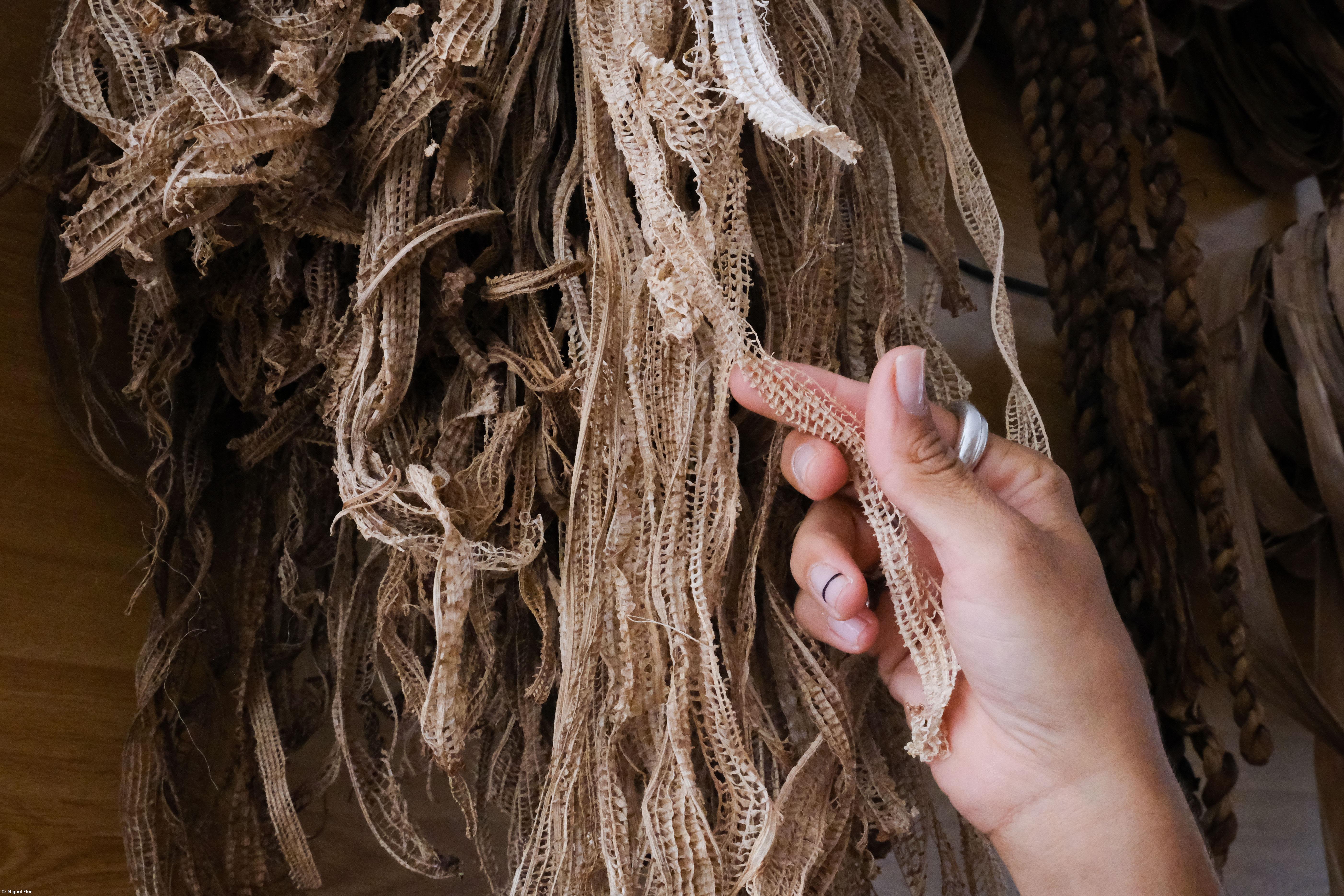 RARA celebra 10 anos com apresentação de trabalhos da residência – Imagem 1