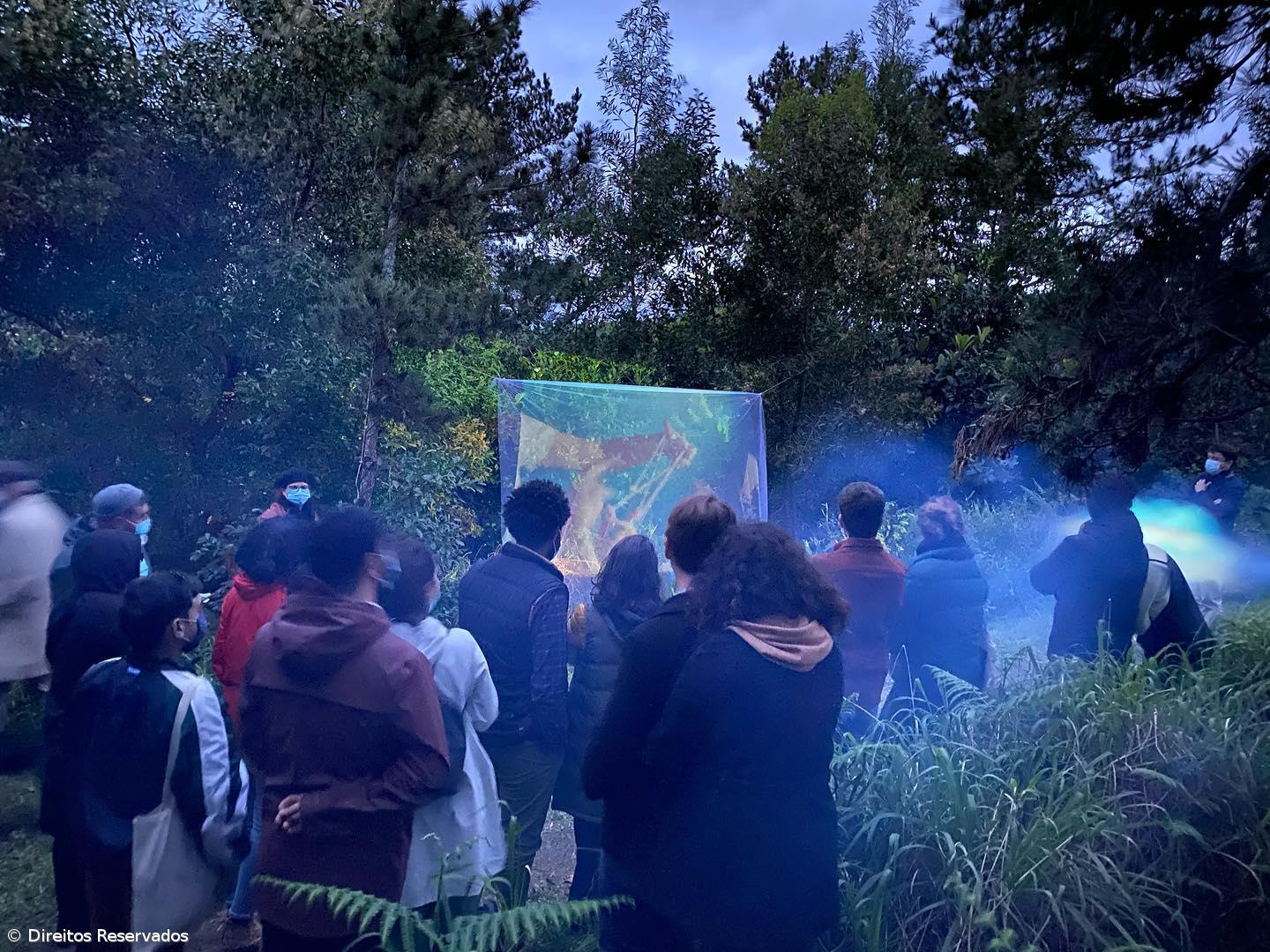 Pico do Refúgio: A quinta que se transformou num espaço de criação – Imagem 4