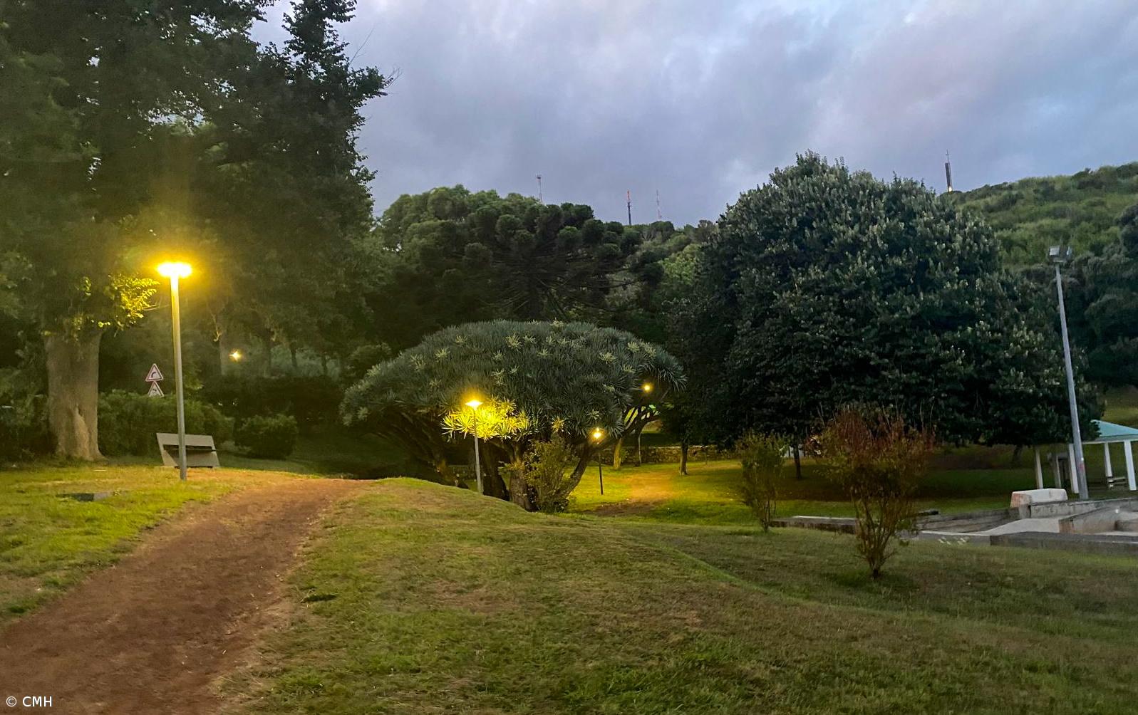 Câmara da Horta faz melhorias no Parque da Alagoa – Imagem 1