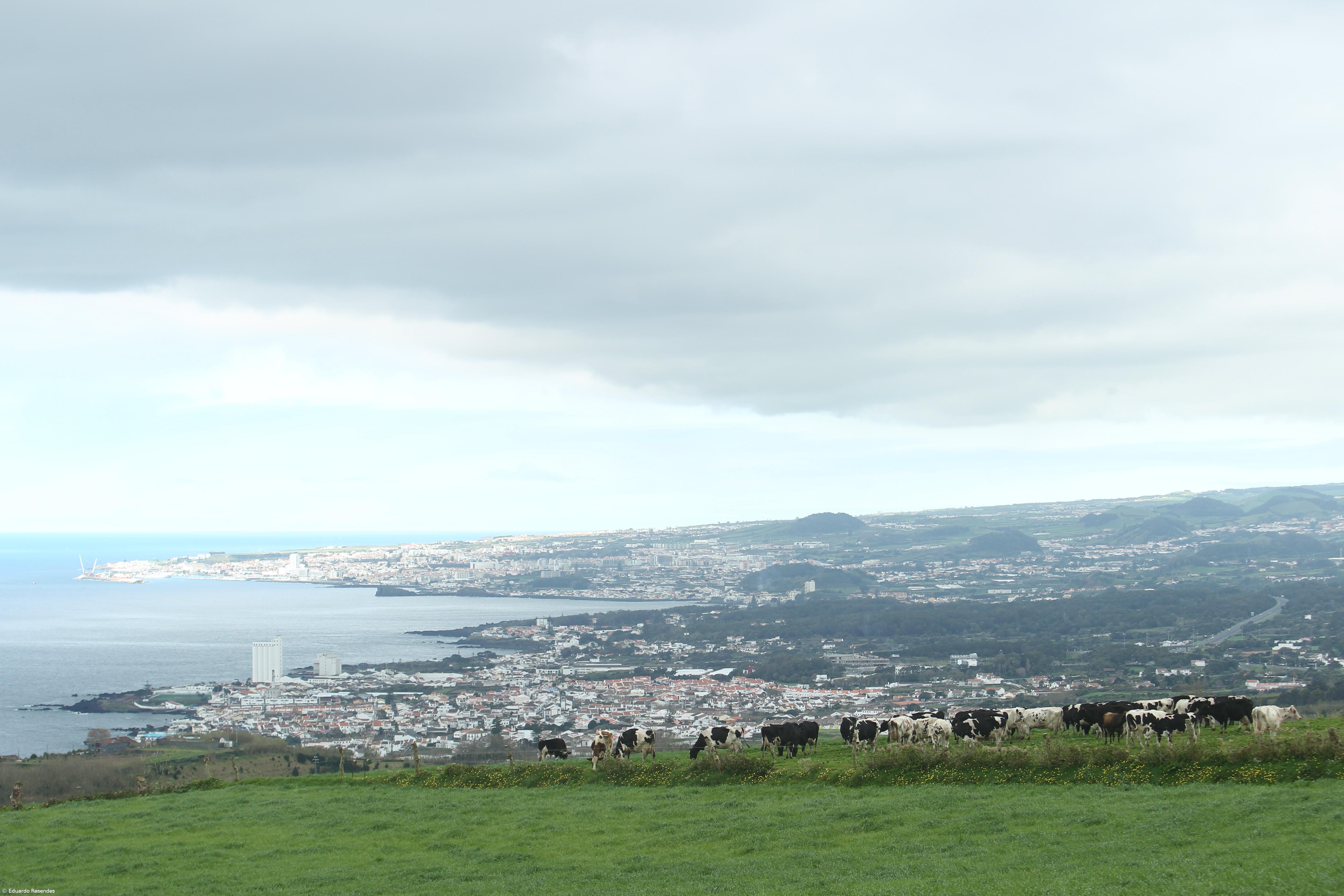 Novo POOC de São Miguel mais rigoroso na definição do risco – Imagem 1