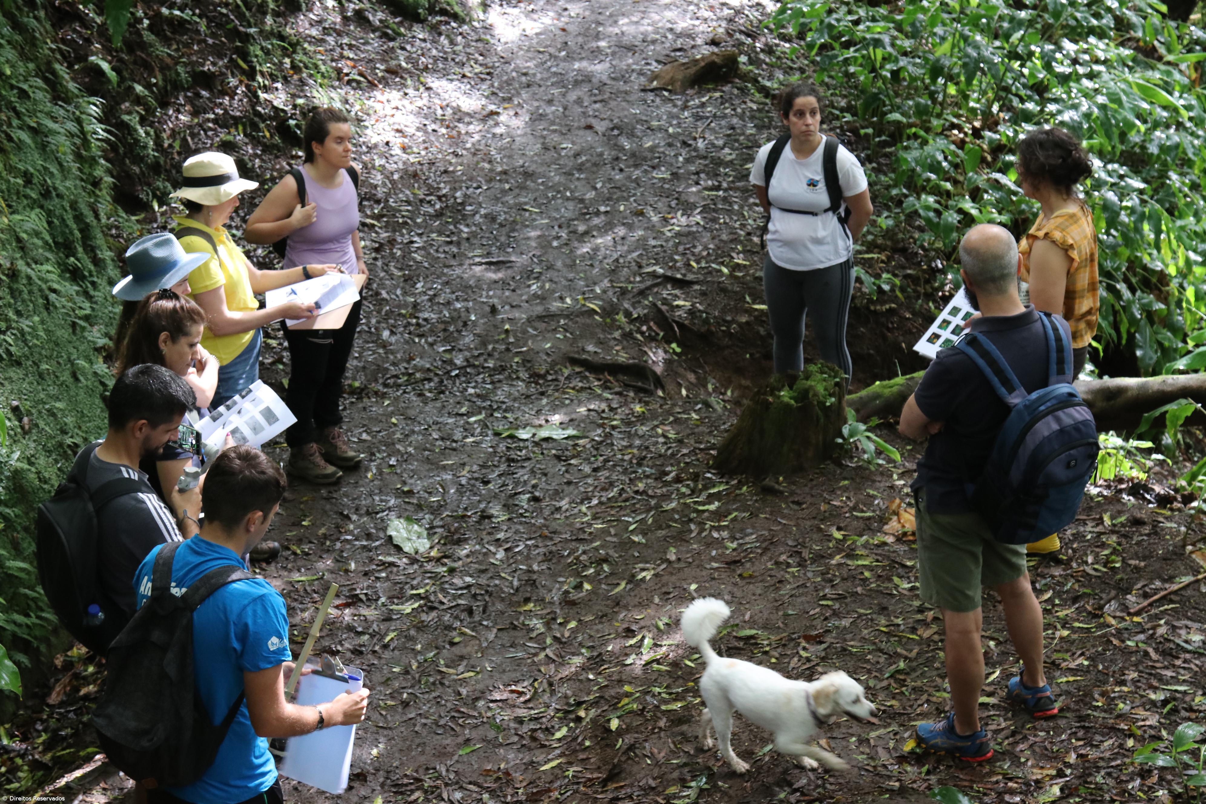 Projeto quer tornar trilho da Janela do Inferno em laboratório educativo – Imagem 2