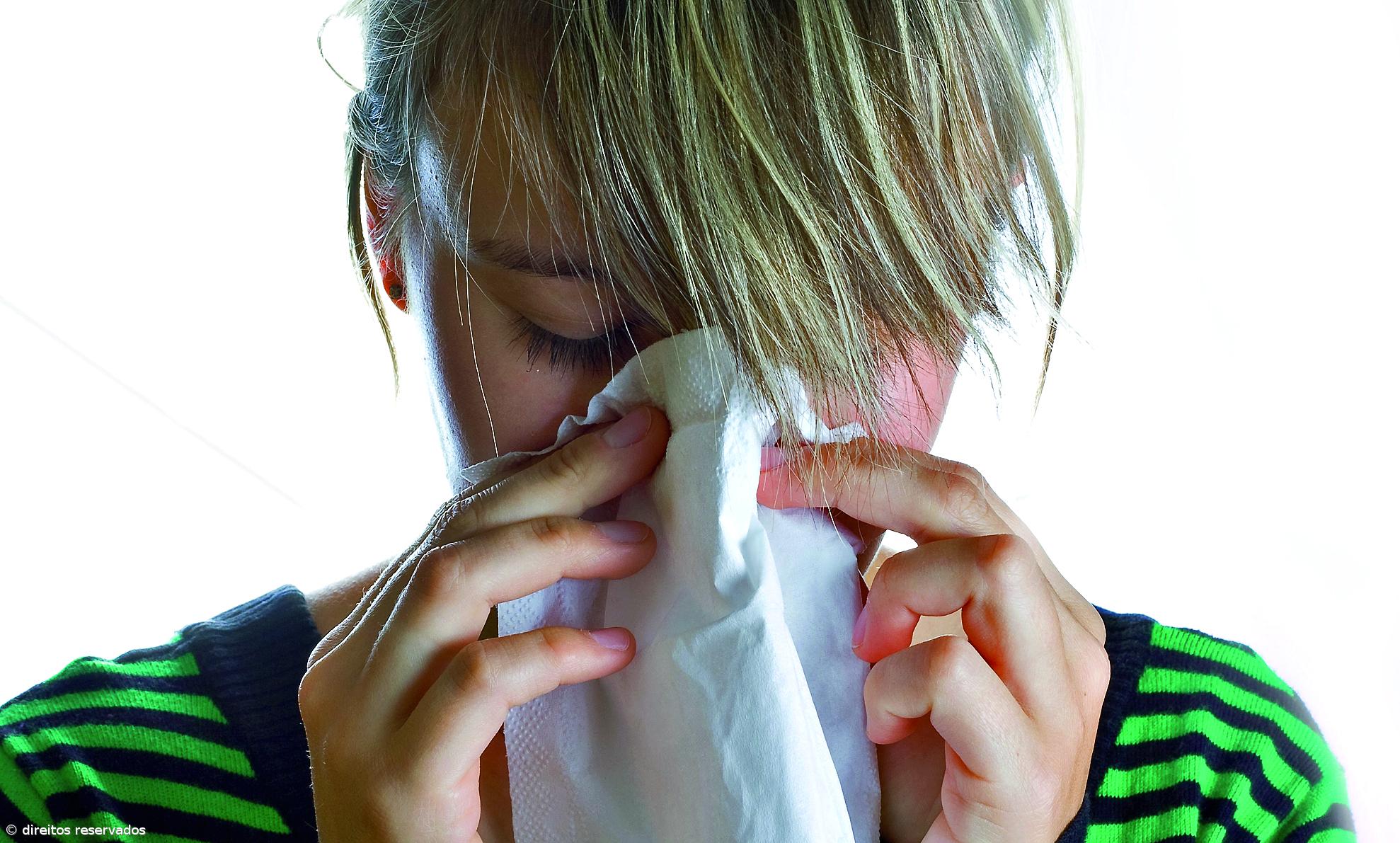 Concentrações de pólen moderadas a elevadas nos Açores – Imagem 1