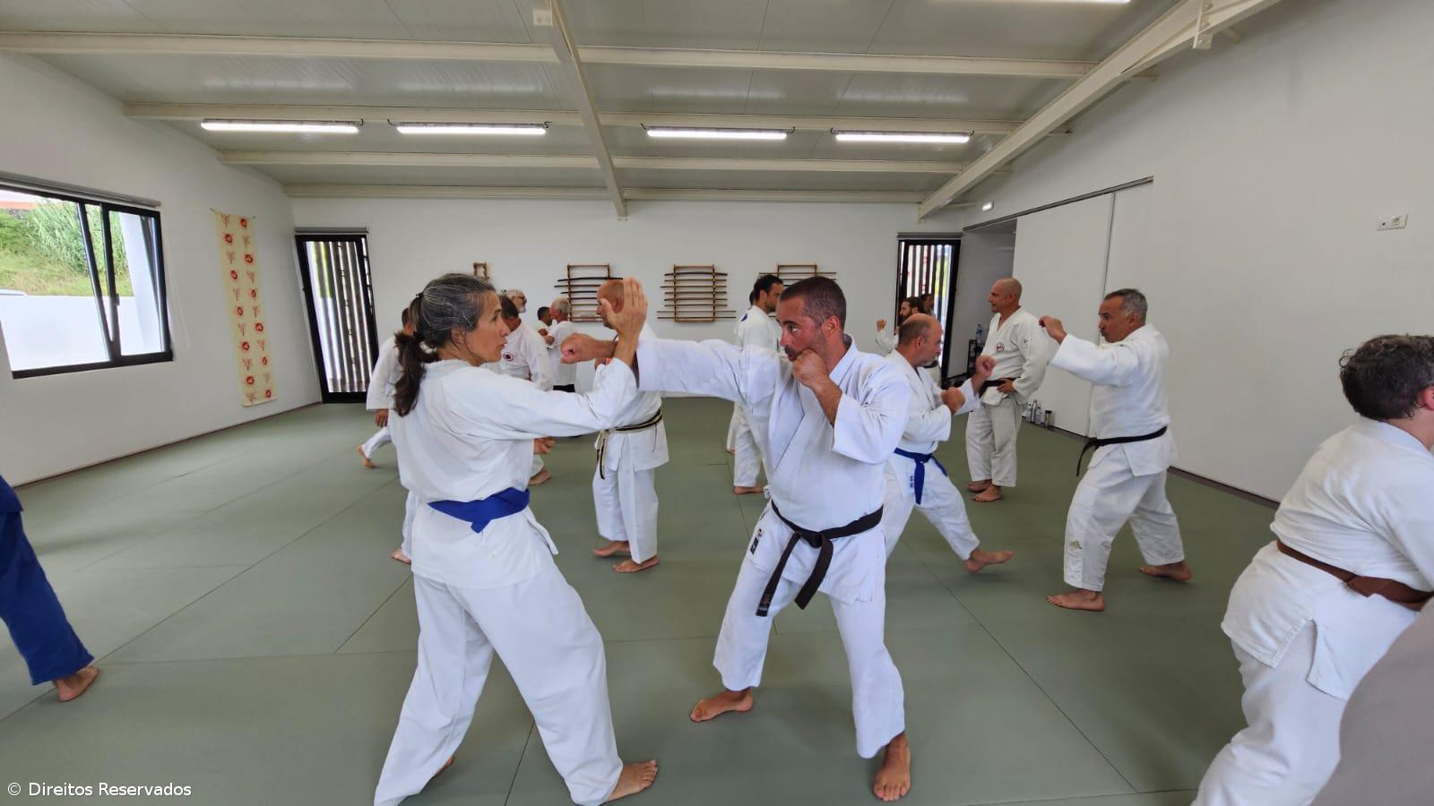 “As artes marciais são escolas de formação e conhecimento” – Imagem 1