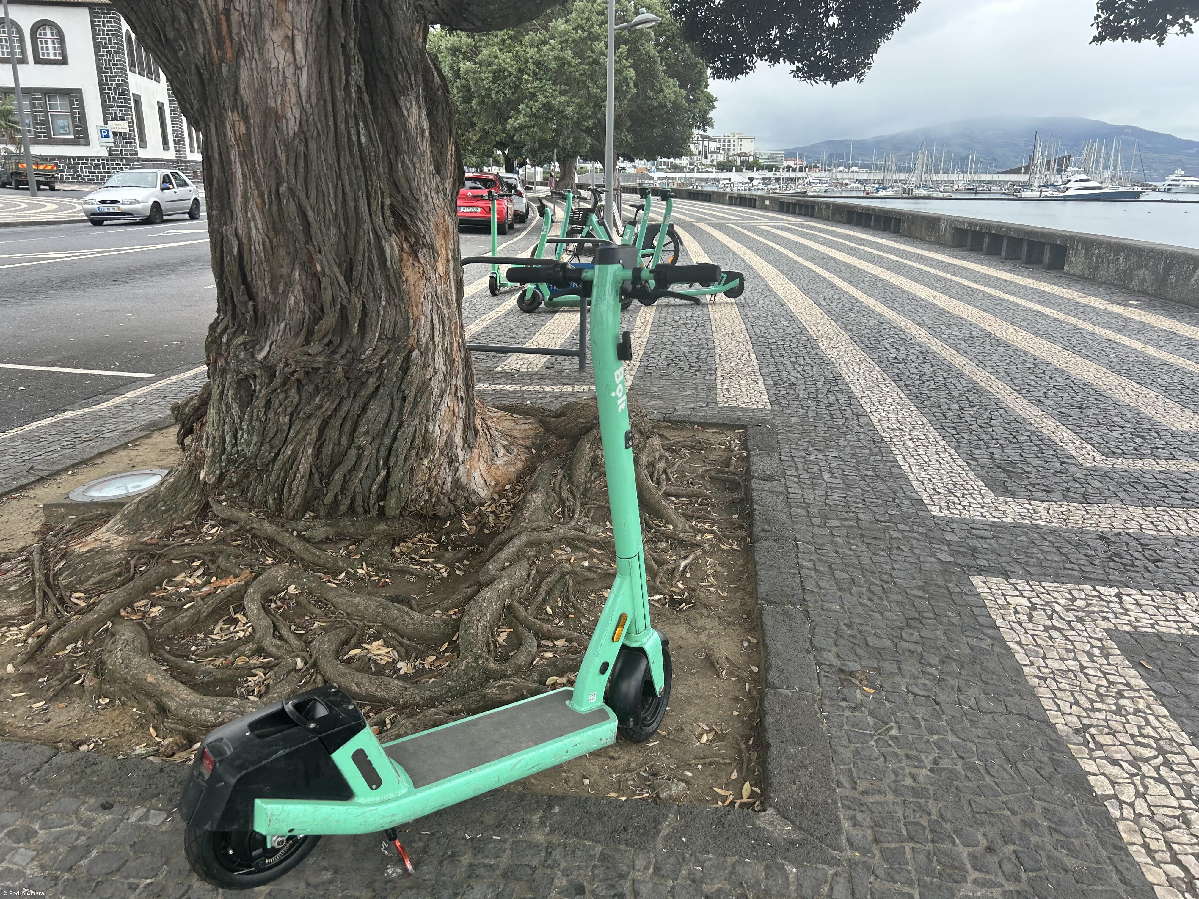 Trotinetes são “práticas”, mas “causam incómodo” – Imagem 3