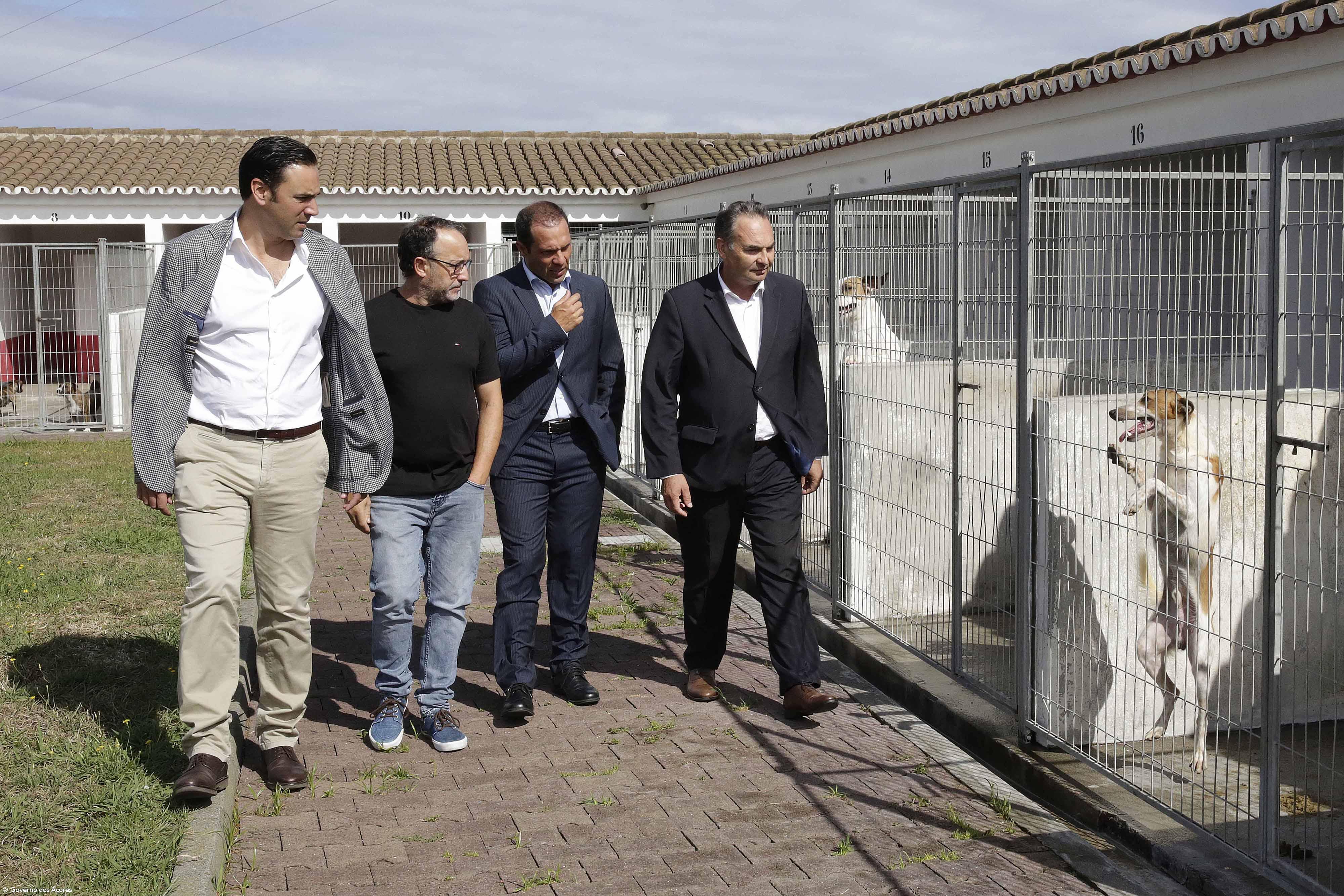 Número de animais nos centros de recolha oficiais baixou nos Açores – Imagem 1