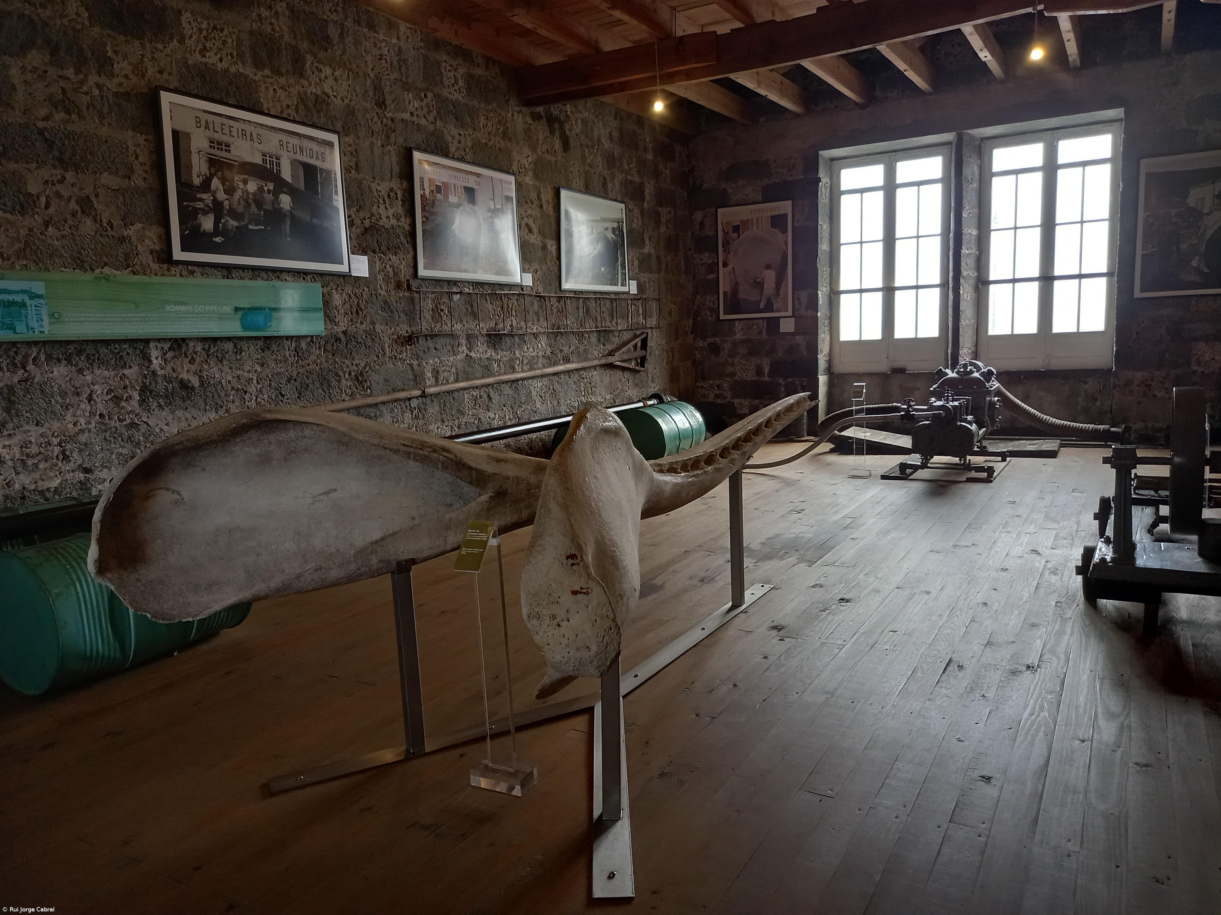 Mais de 243 mil visitas aos museus dos Açores em 2023  – Imagem 1