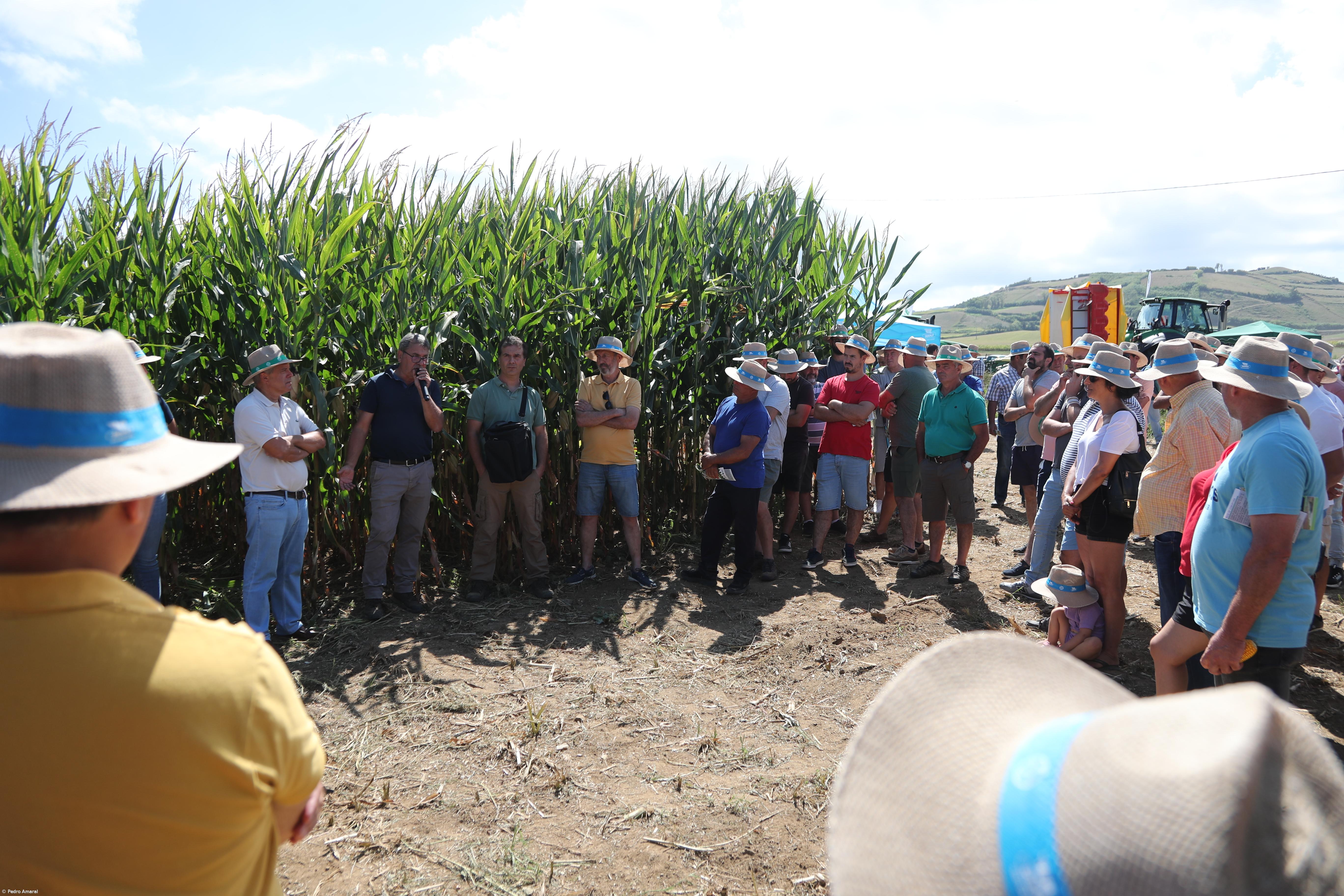 Federação Agricola diz que falta de água para animais é “muito preocupante" – Imagem 1