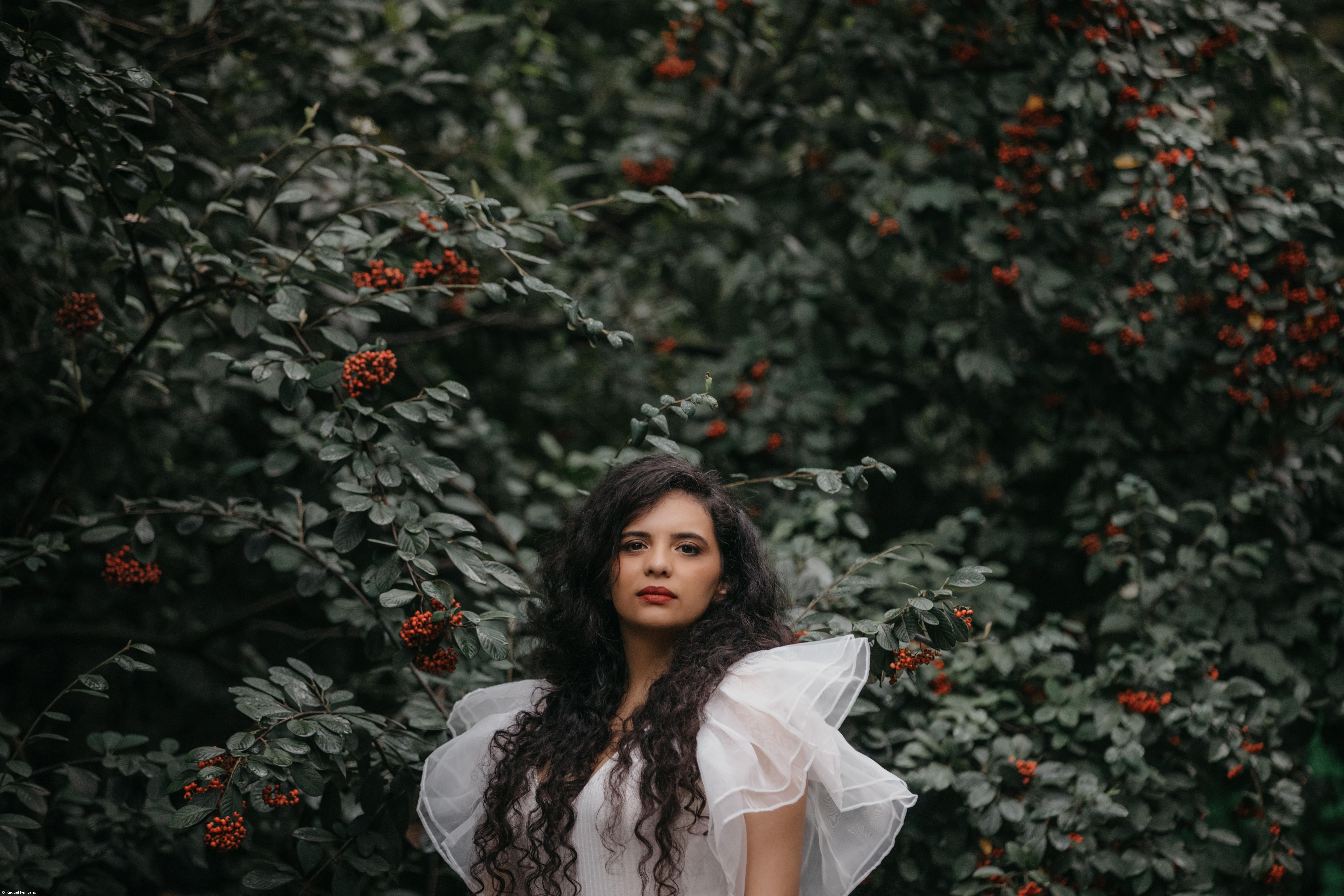 Herança cultural açoriana enriquece diversidade do Brasil – Imagem 1