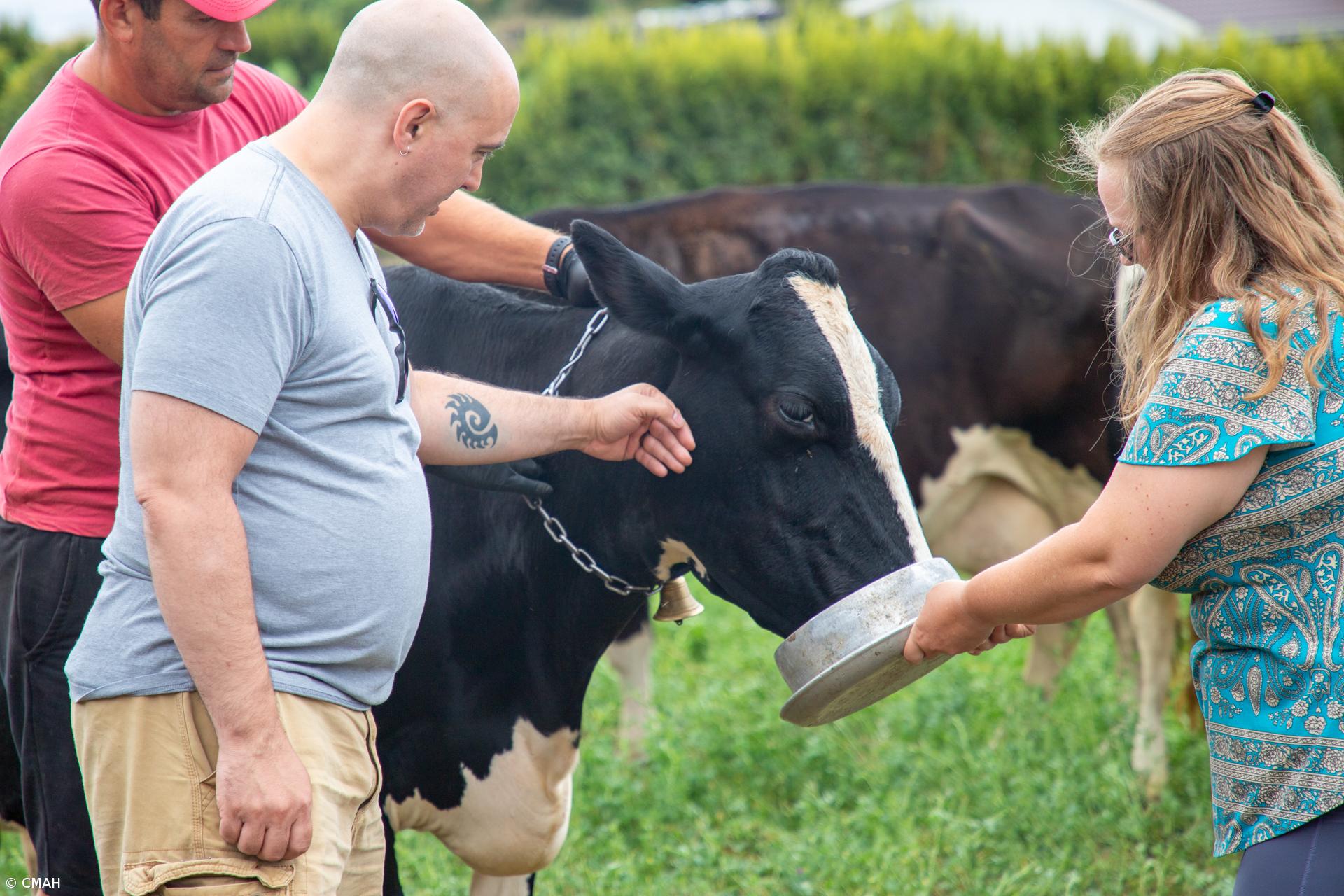Rota turística dedicada ao leite e queijo em Angra do Heroísmo – Imagem 2