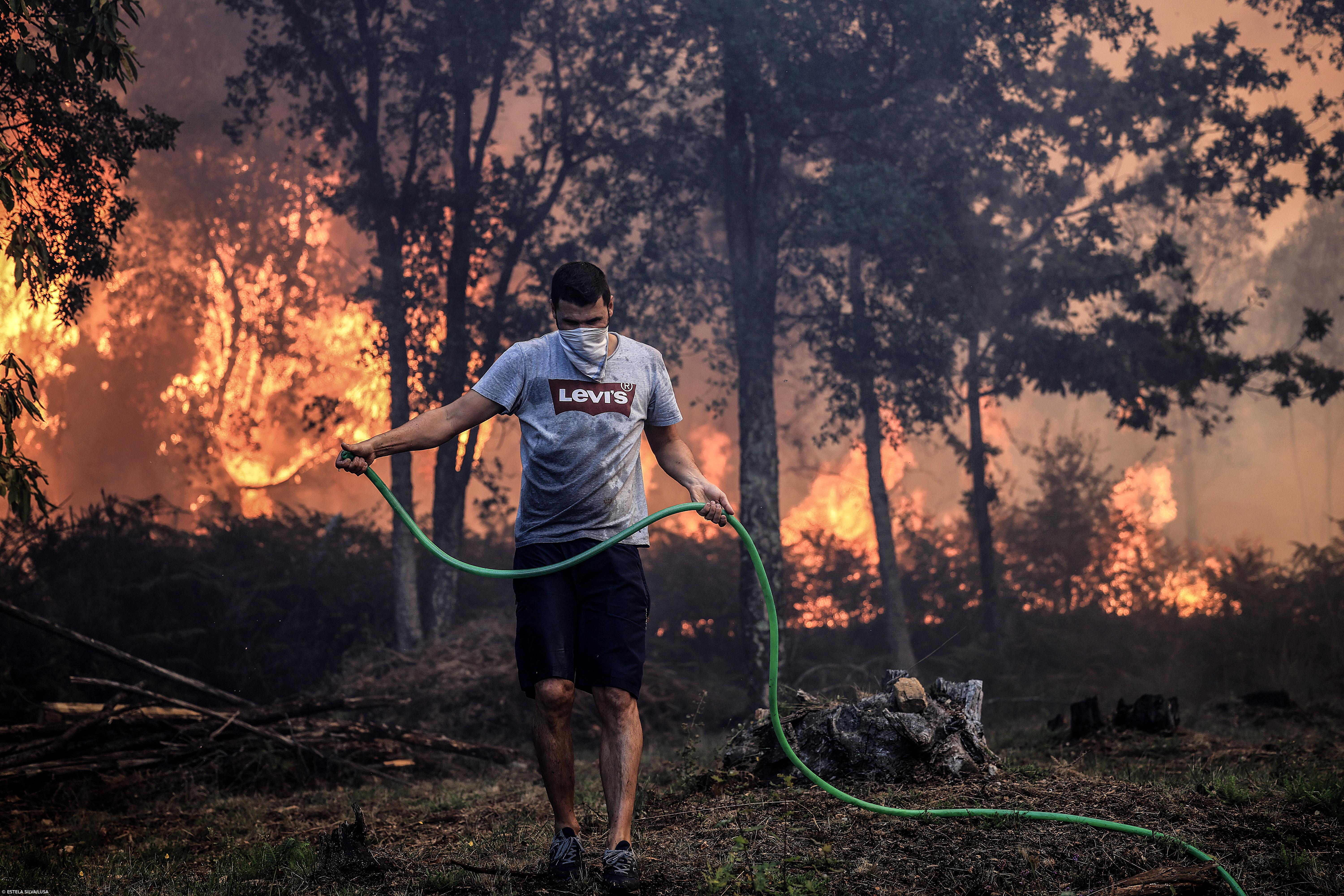 Fogo em Azeméis combatido por 506 operacionais, quatro bombeiros feridos – Imagem 1