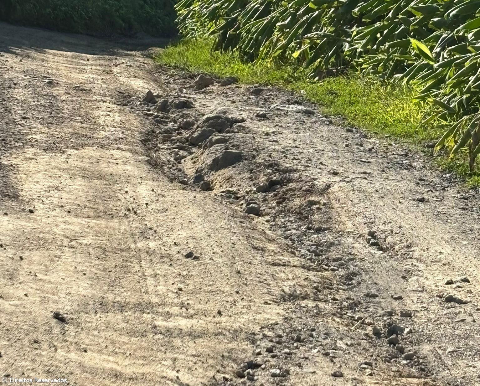 Sete Cidades queixa-se de falta de manutenção em troço das Cumeeiras – Imagem 1