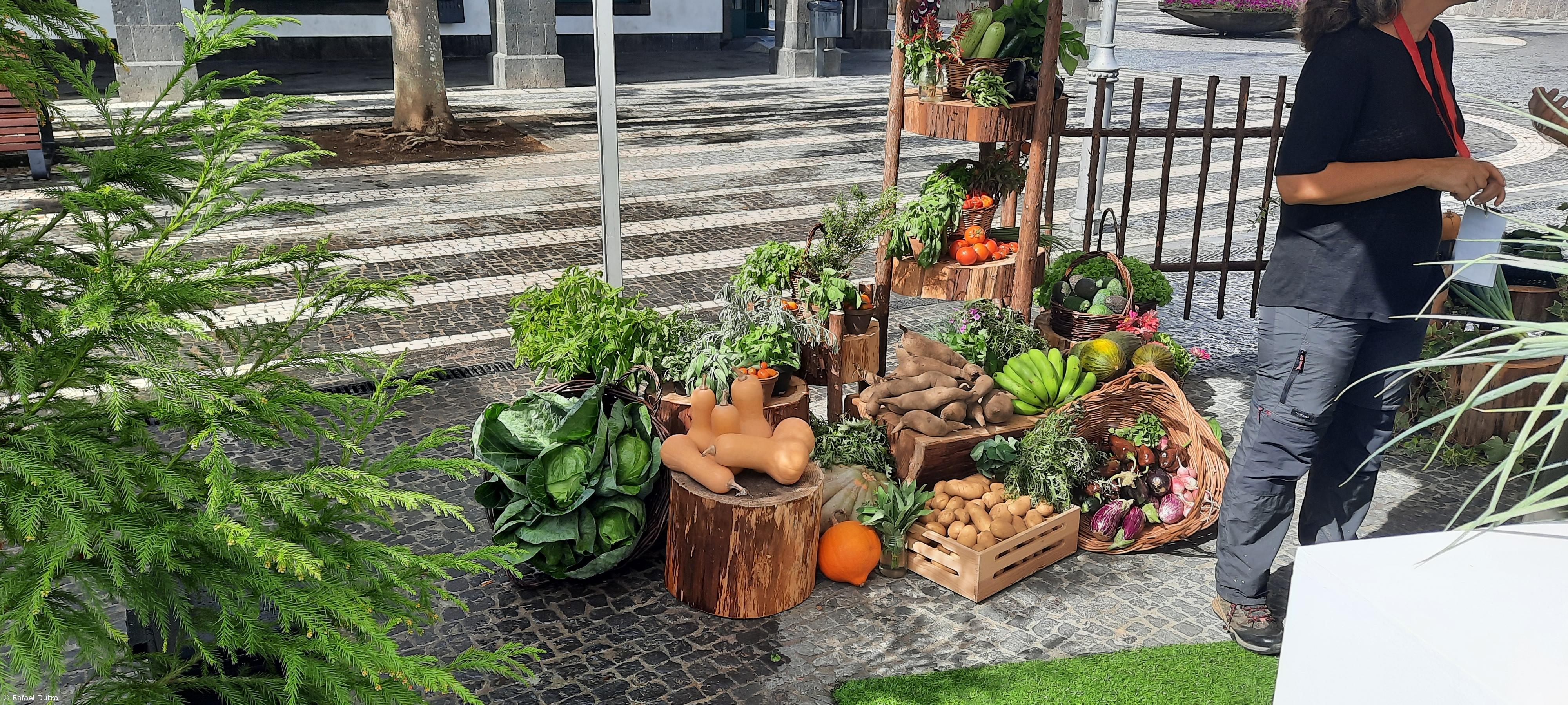 Existem nos Açores mais de 200 produtores biológicos – Imagem 3