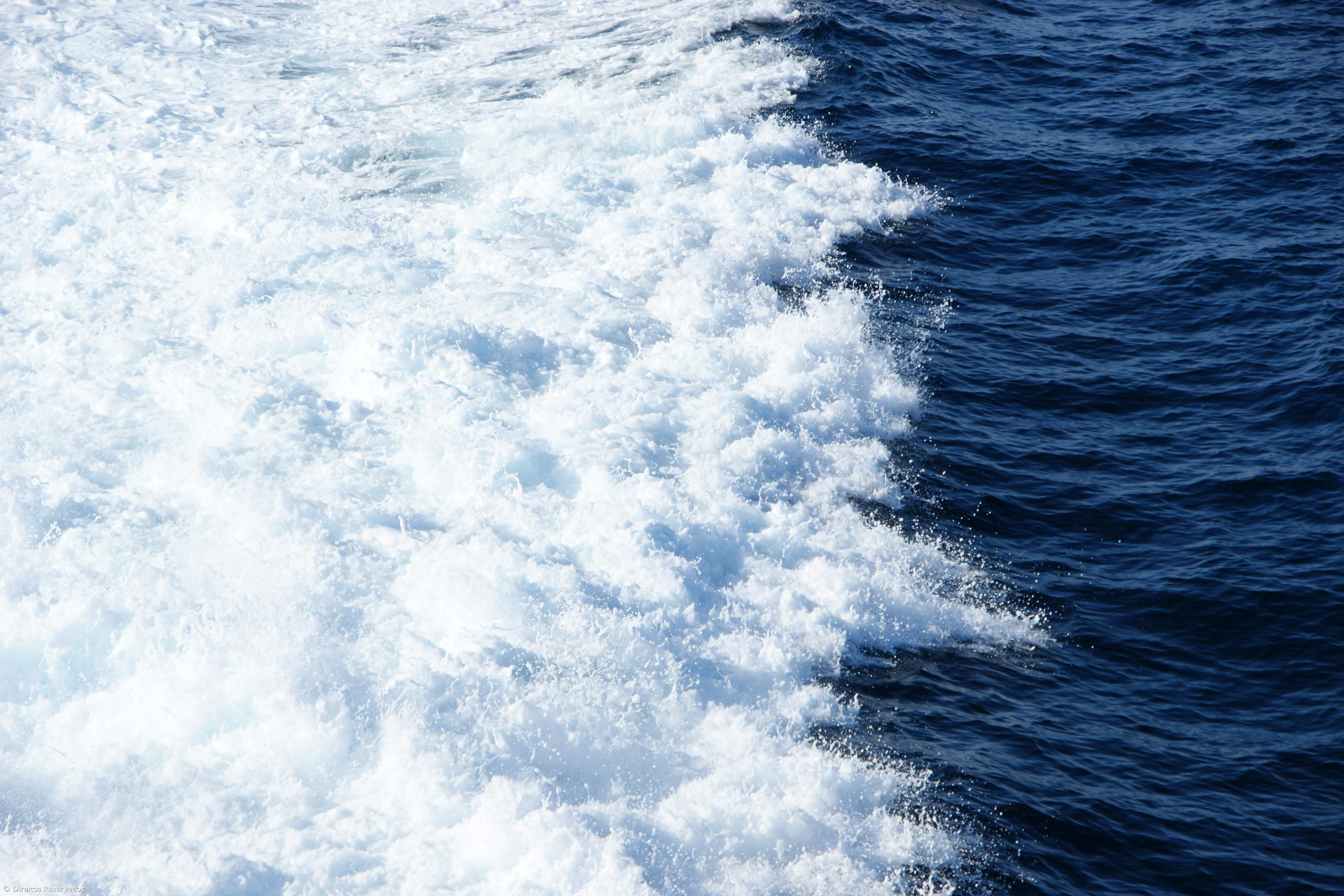 Oceana realiza investigação para estudar banco de Gorringe – Imagem 1