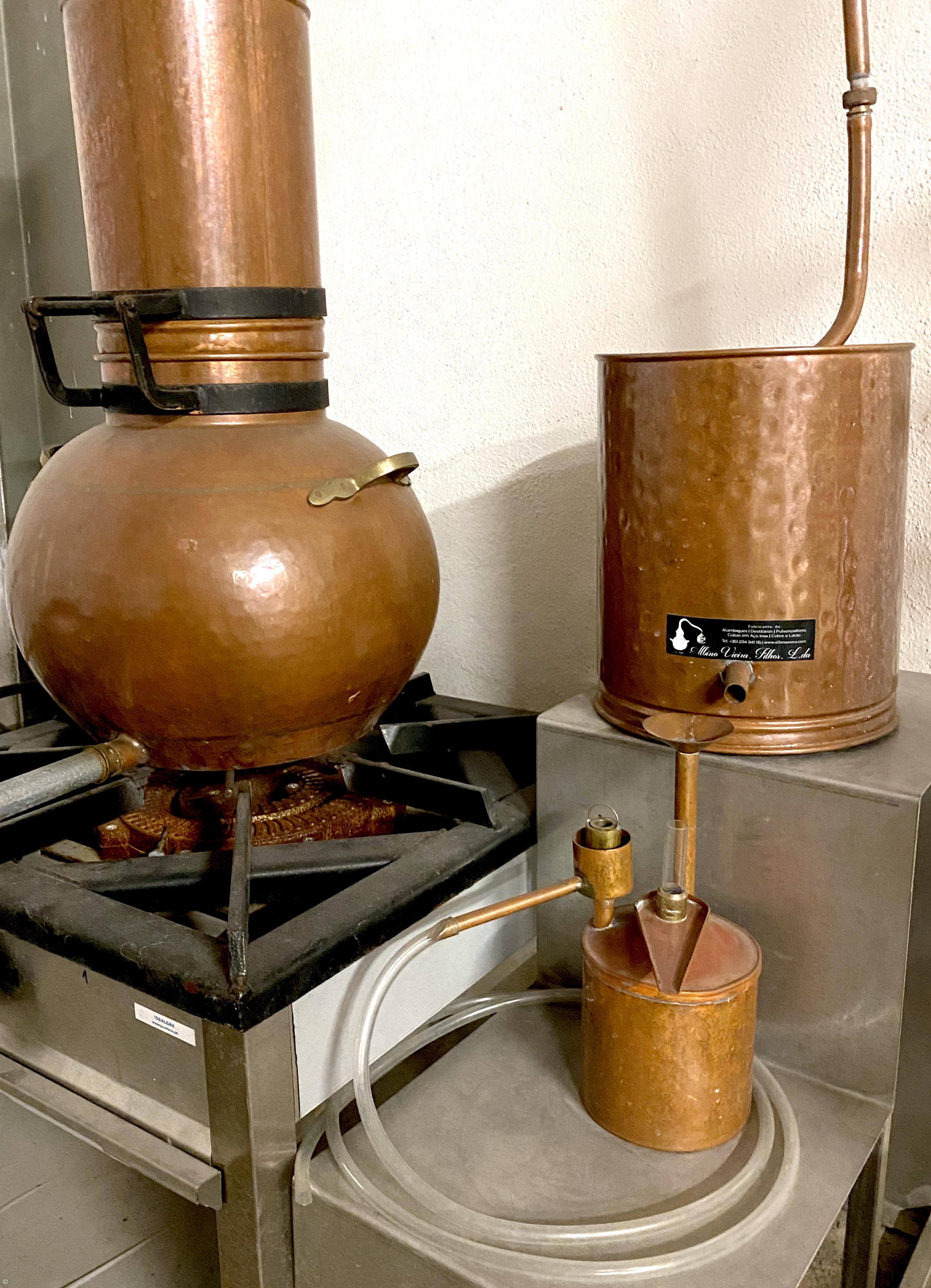 Empresa Açoriana produz óleos essenciais e produtos de cosmética 100% naturais – Imagem 2