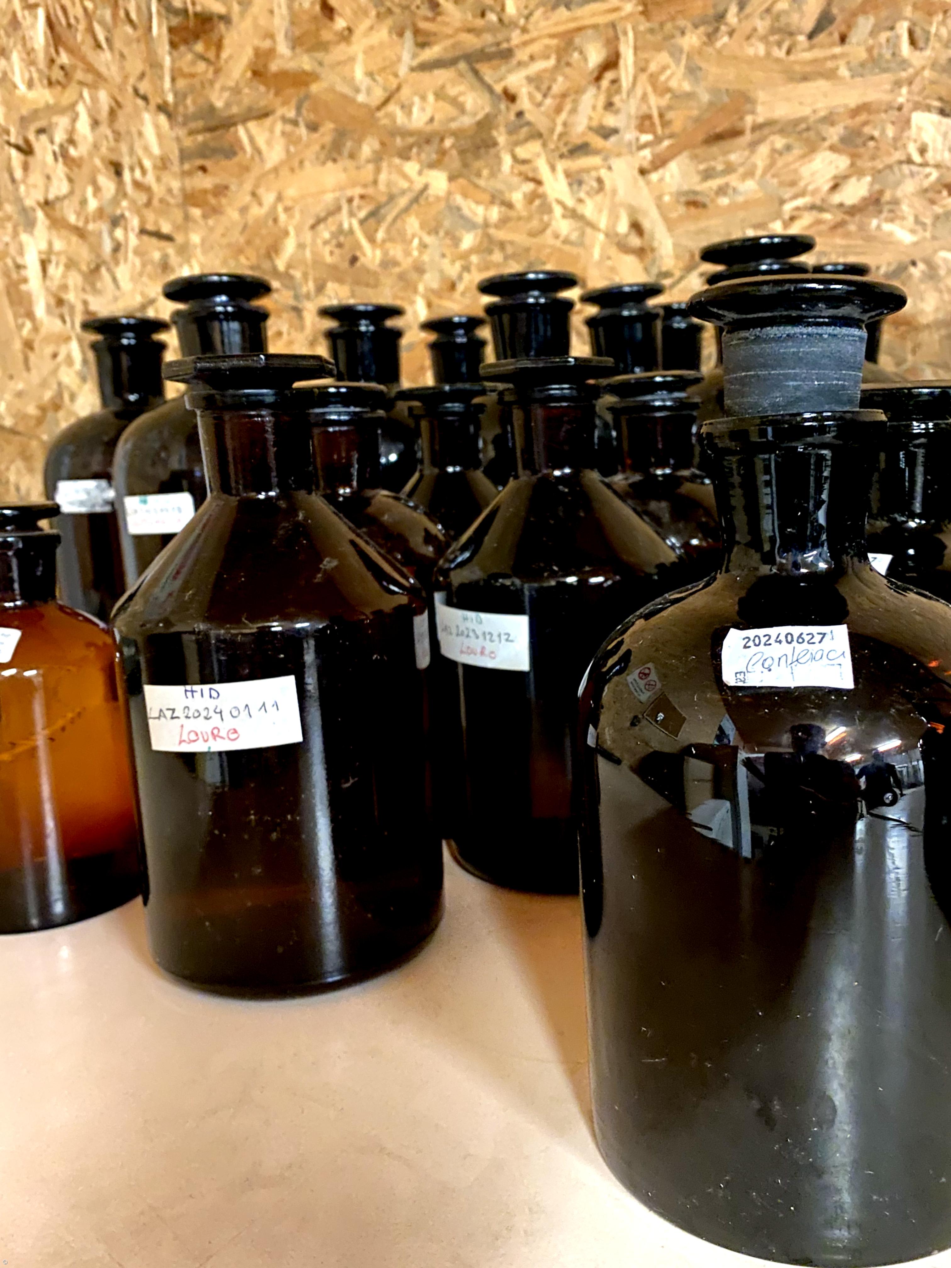 Empresa Açoriana produz óleos essenciais e produtos de cosmética 100% naturais – Imagem 3