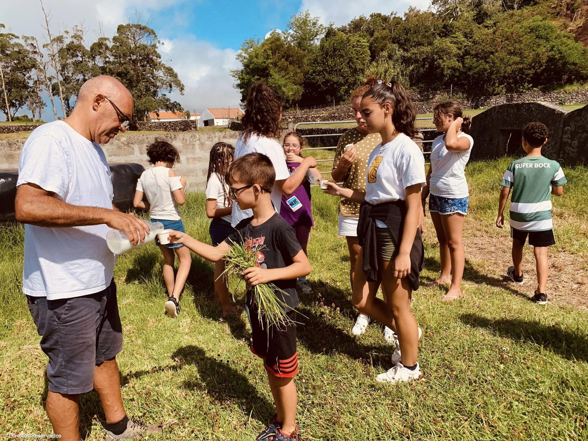 Leite de Burra açoriano exportado para consumo humano e produtos de cosmética – Imagem 1