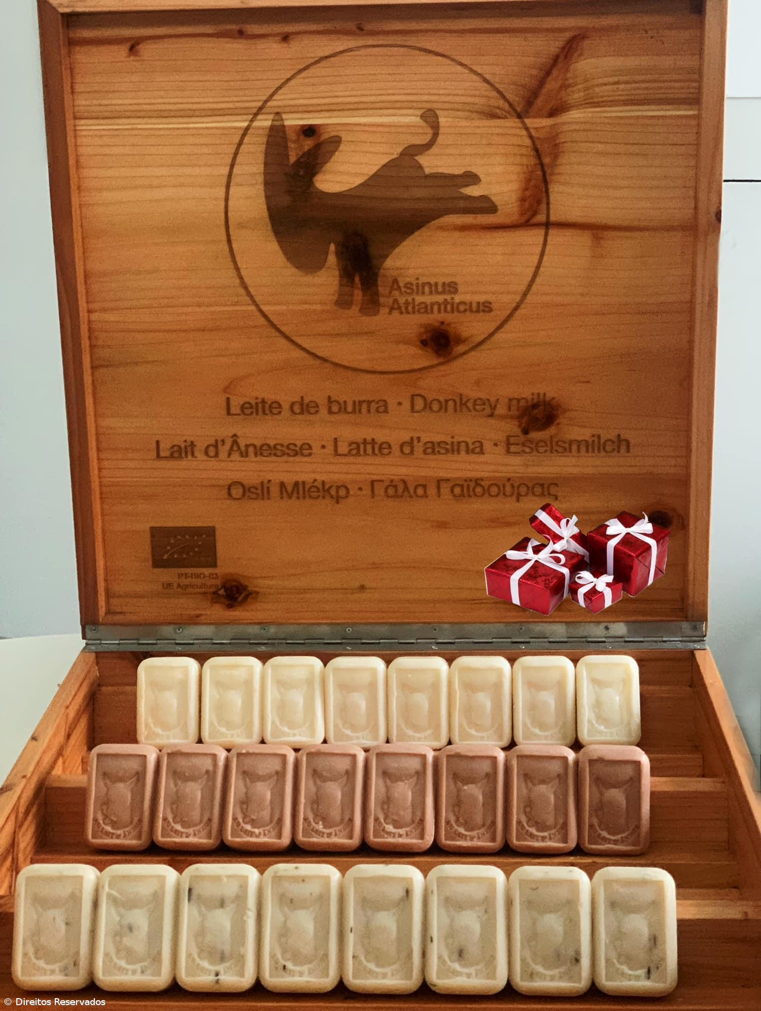 Leite de Burra açoriano exportado para consumo humano e produtos de cosmética – Imagem 8