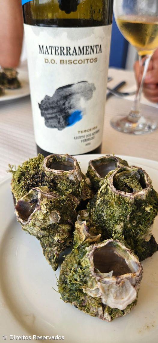 Luís Vasco Cunha acredita que o sucesso passa por “manter as portas abertas, muito em particular as da mente” – Imagem 2