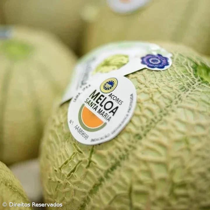 A singular meloa da Ilha Amarela – Imagem 1