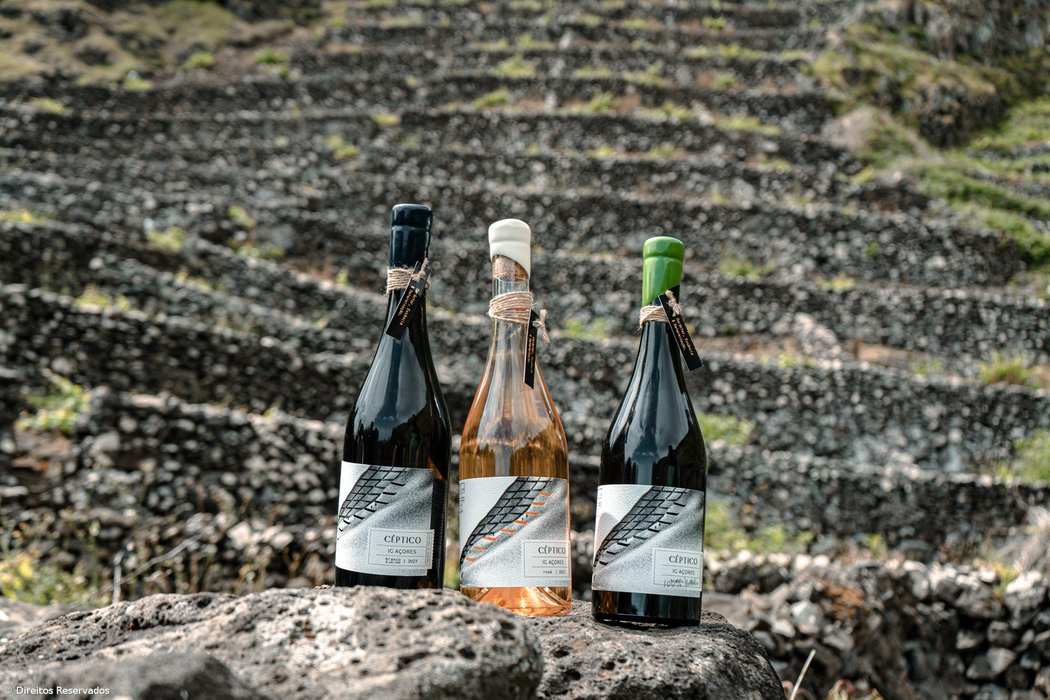 A singular meloa da Ilha Amarela – Imagem 3