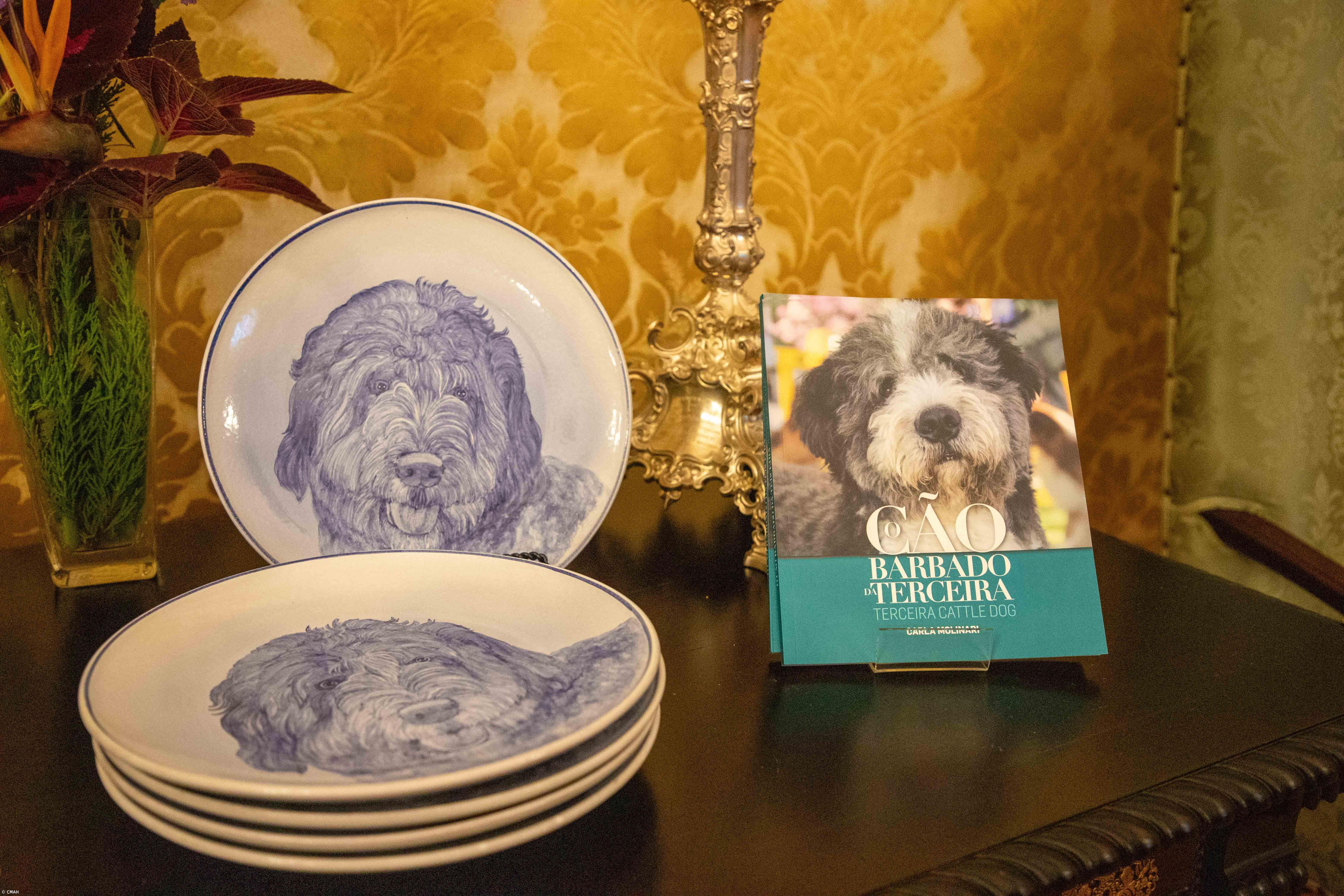 Lançamento do Livro "O Cão Barbado da Terceira" e 'Mega Encontro do Barbado da Terceira'  – Imagem 1