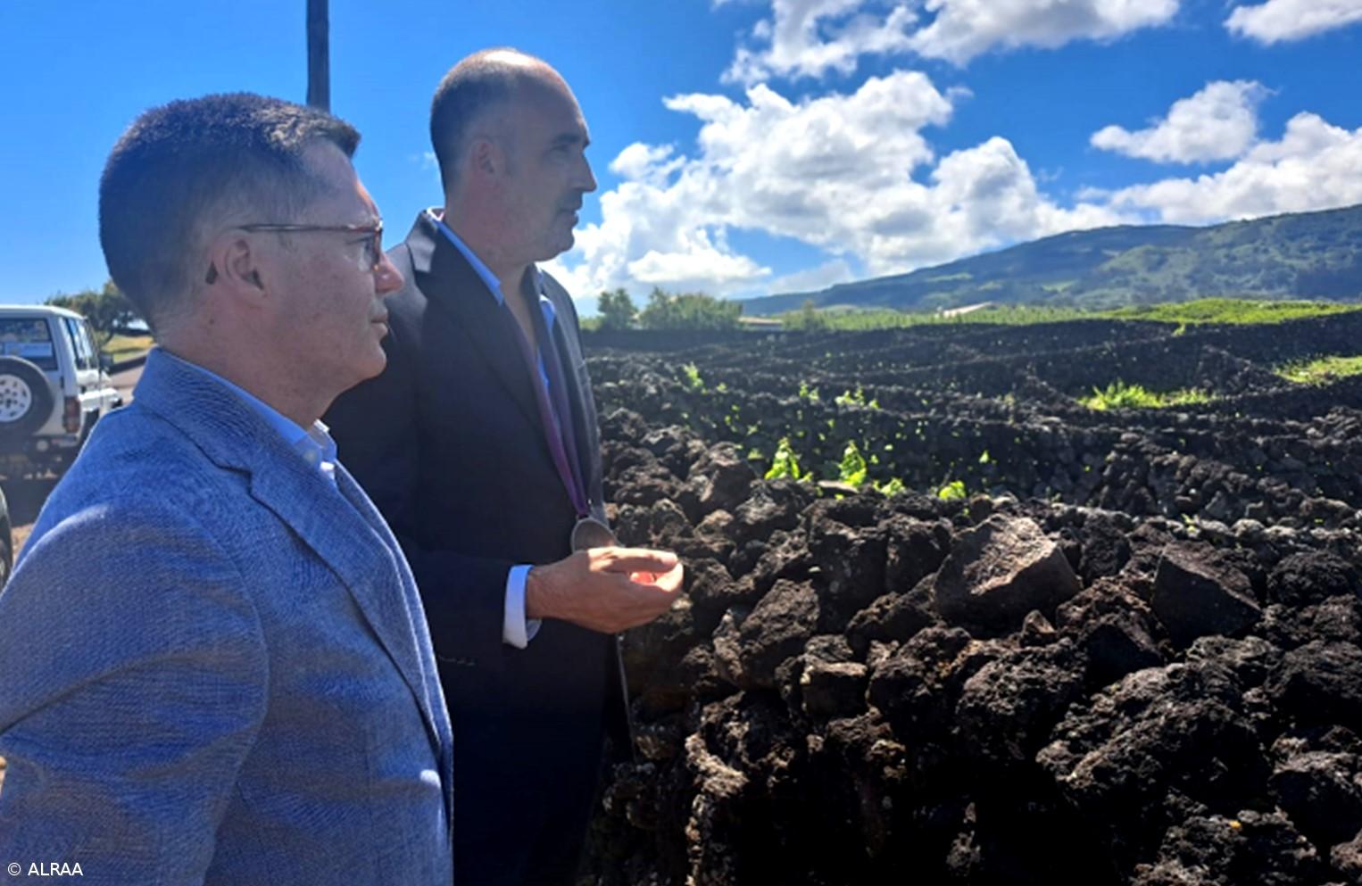 Presidente do parlamento dos Açores entronizado Confrade de Honra pela Confraria Vinho Verdelho – Imagem 1
