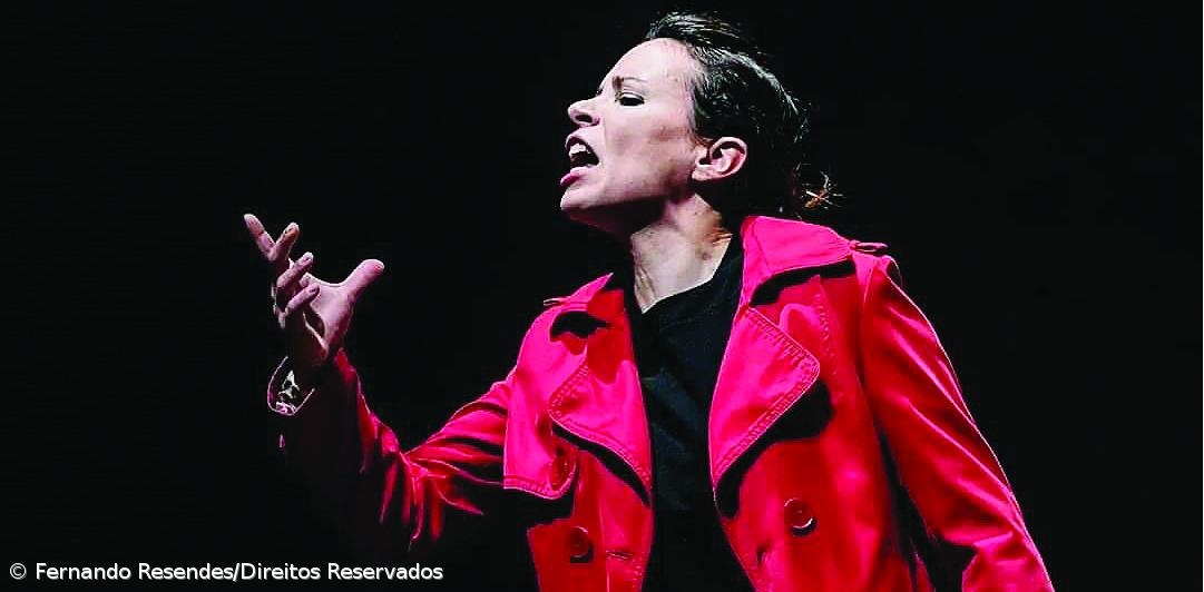 Uma vocação que nasceu na infância e que não esquece as raízes açorianas – Imagem 1