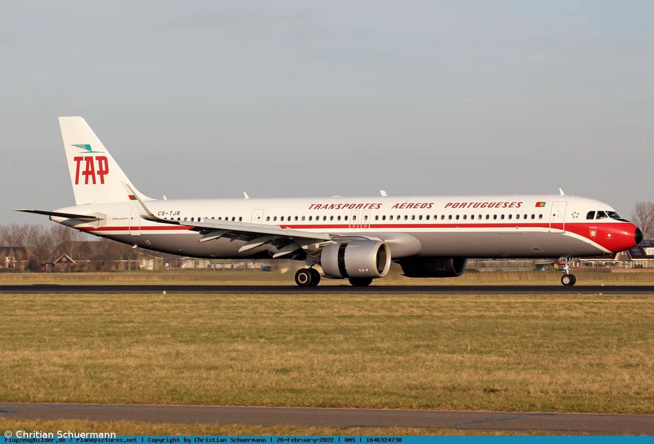 Avião da TAP esteve retido após fuga de 132 hamsters no porão – Imagem 1