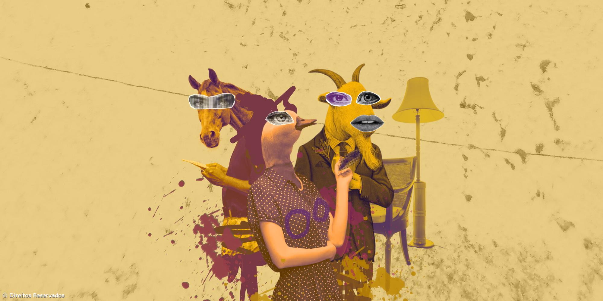 “Animais Domésticos” no Teatro Micaelense – Imagem 1